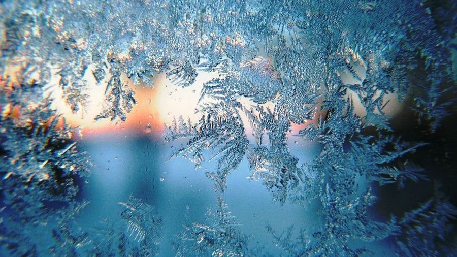 Embracing the Chill: Jack Frost and the Magic of Winter