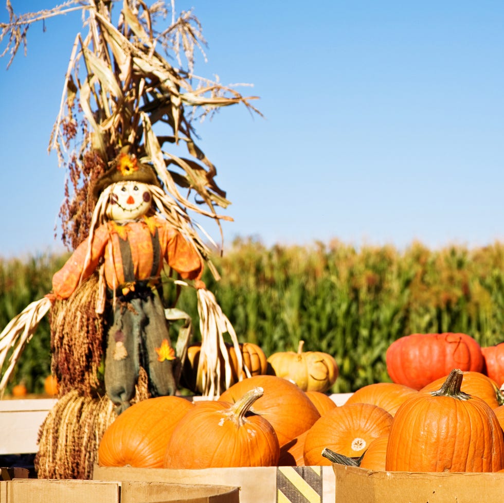 Top 10 Cosy Autumn Activities to Try This Year