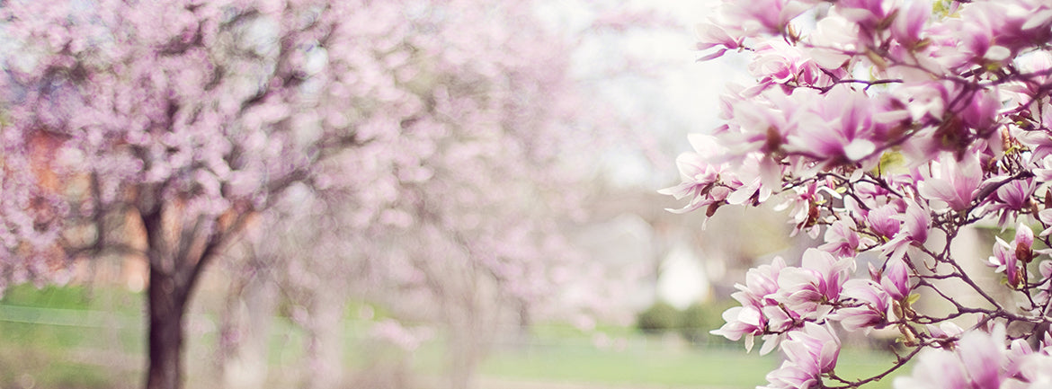 Quick Ways to Spring Into Happiness