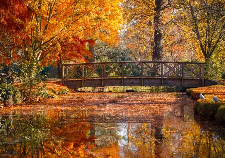 The Cozy Comforts of Autumn: Your Guide to a Warm Season