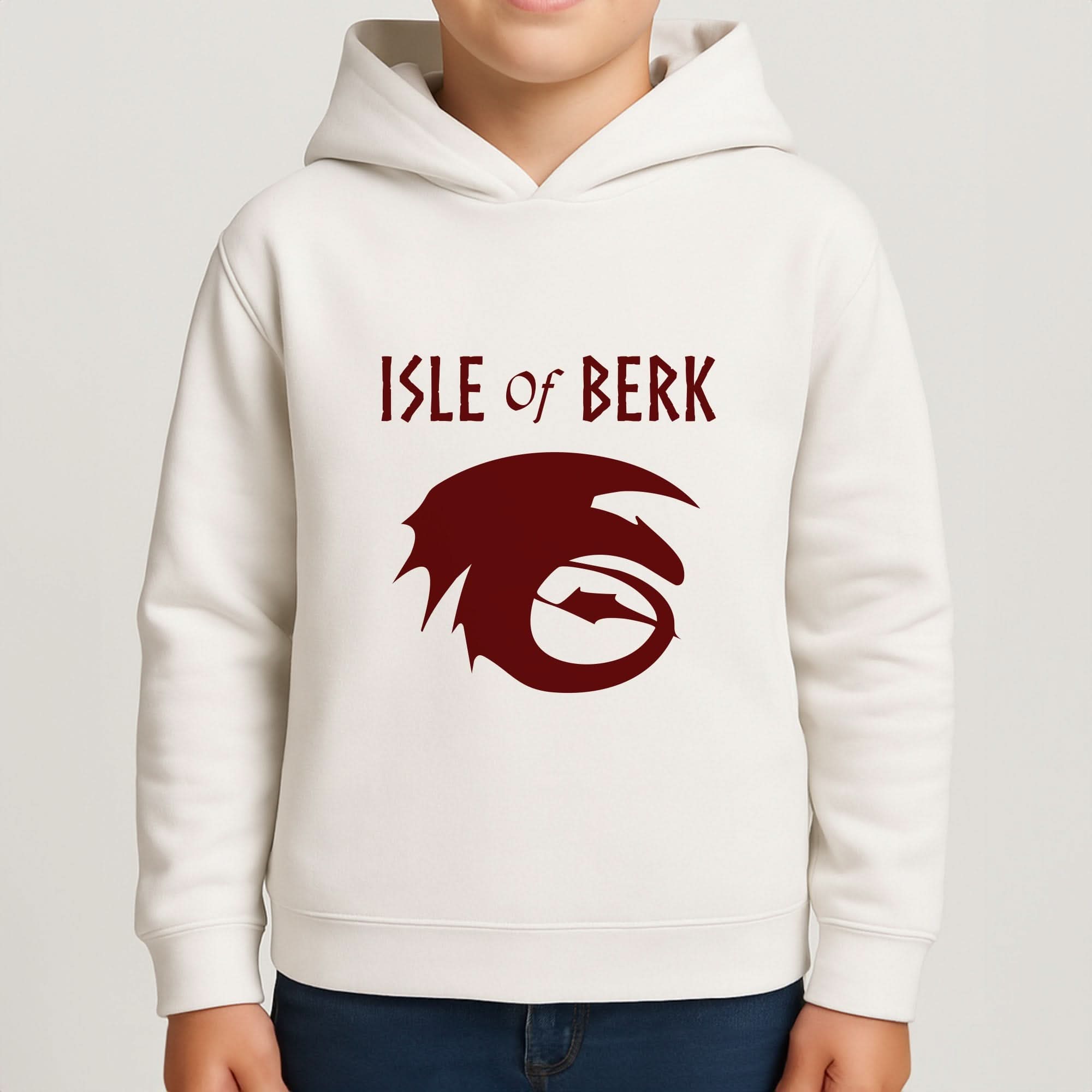 Isle Of Berk Boys Hoodie