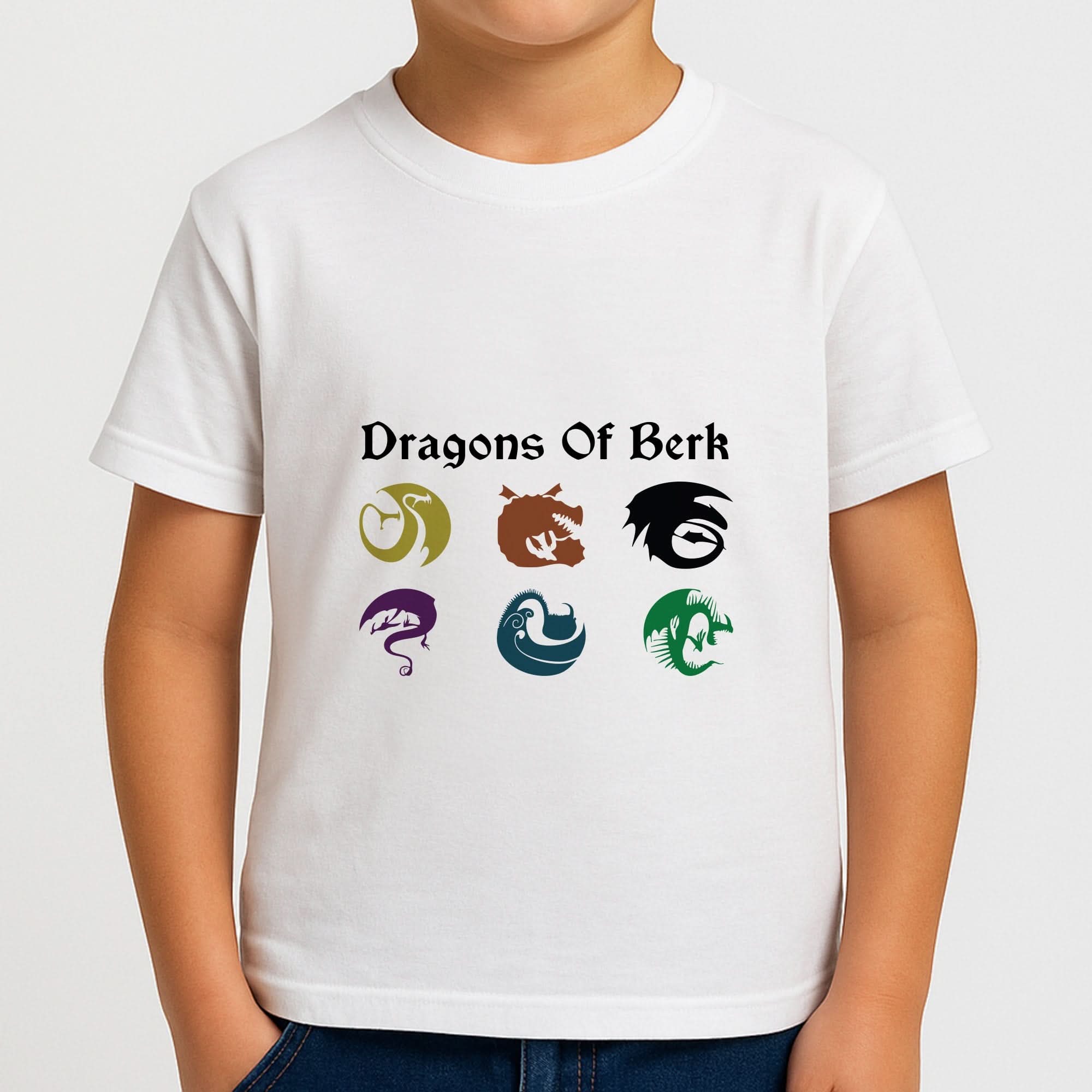 Dragons Of Berk Boys T-Shirt