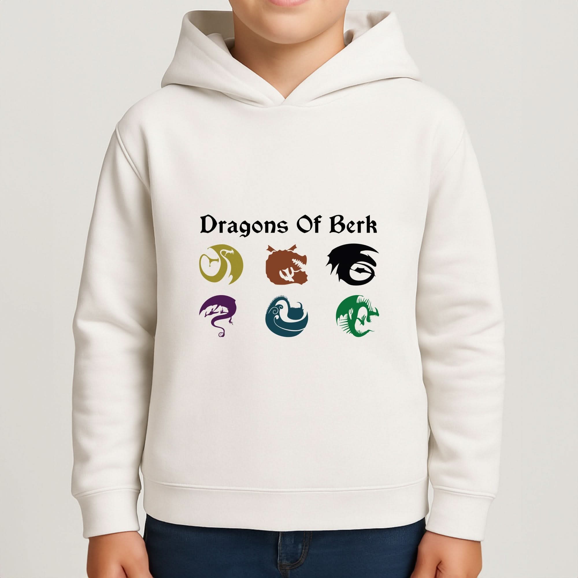 Dragons Of Berk Boys Hoodie