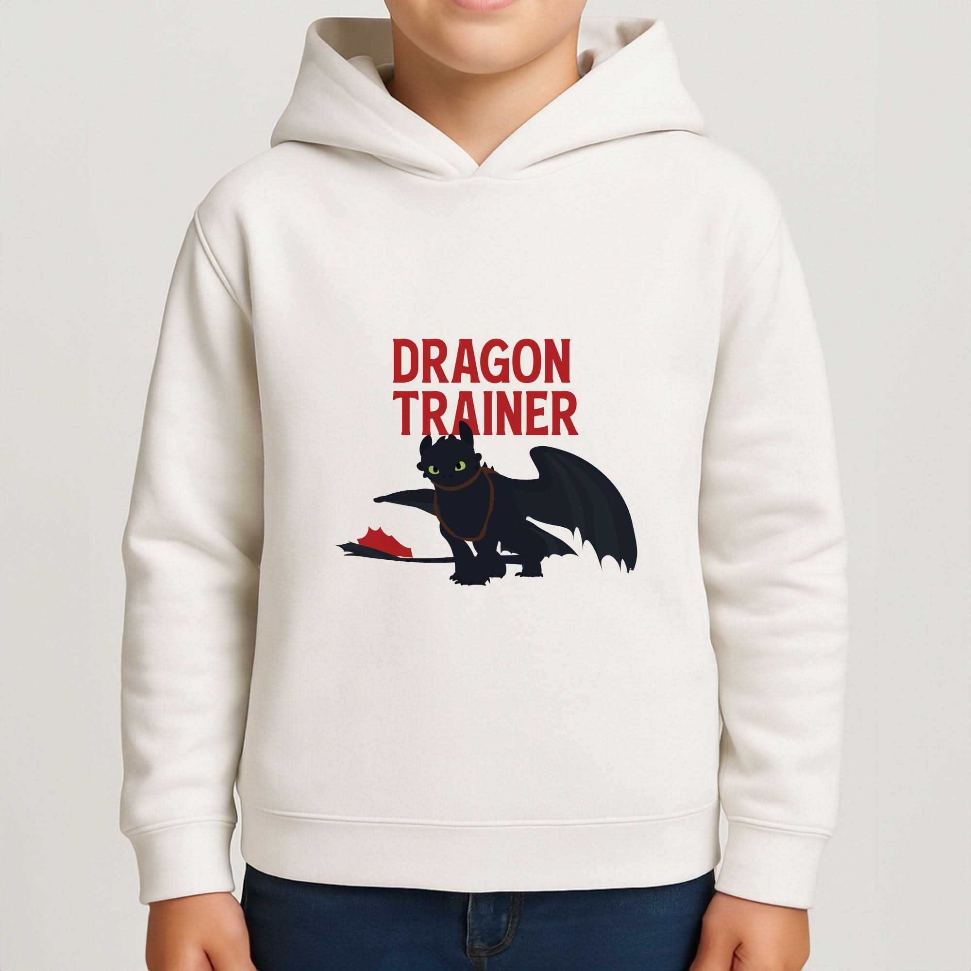 Dragon Trainer Boys Hoodie