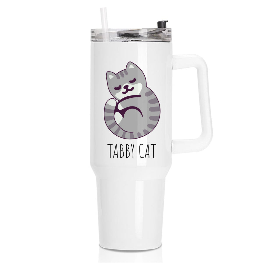Tabby Cat - Cats Tumbler