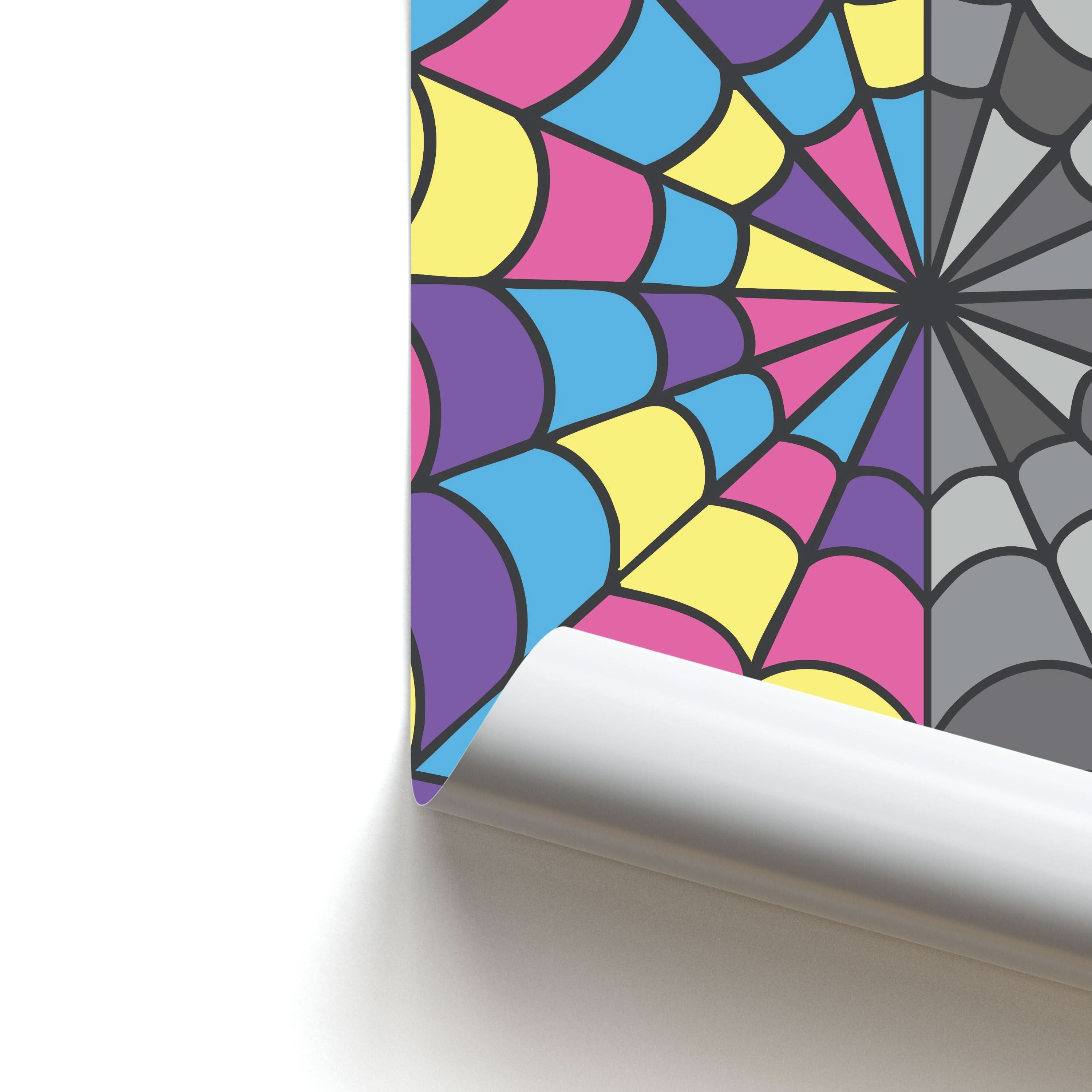 Colourful And Gray Spiderweb Poster