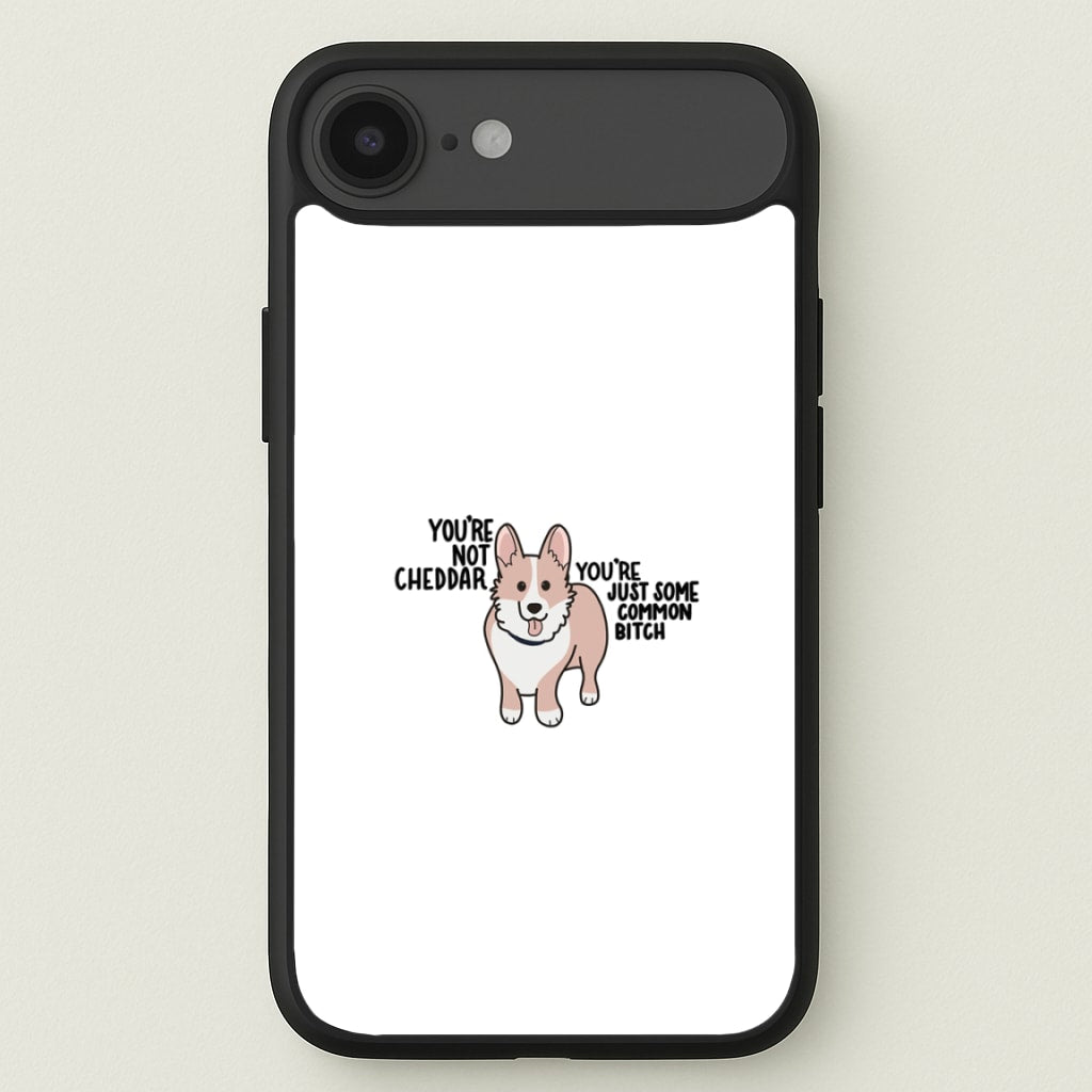 You're Not Cheddar - B99 Phone Case for iPhone 17 Air