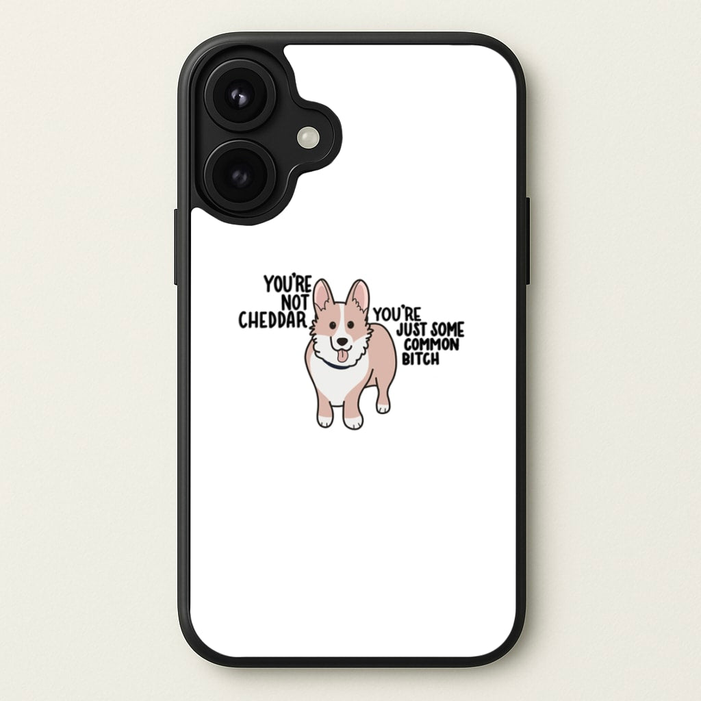 You're Not Cheddar - B99 Phone Case for iPhone 17