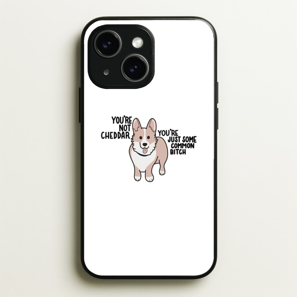 You're Not Cheddar - B99 - Brooklyn Nine-Nine Phone Case for iPhone 15