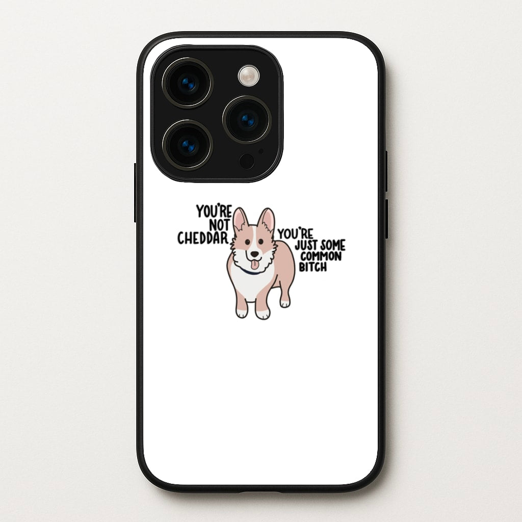 You're Not Cheddar - B99 - Brooklyn Nine-Nine Phone Case for iPhone 15 Pro Max