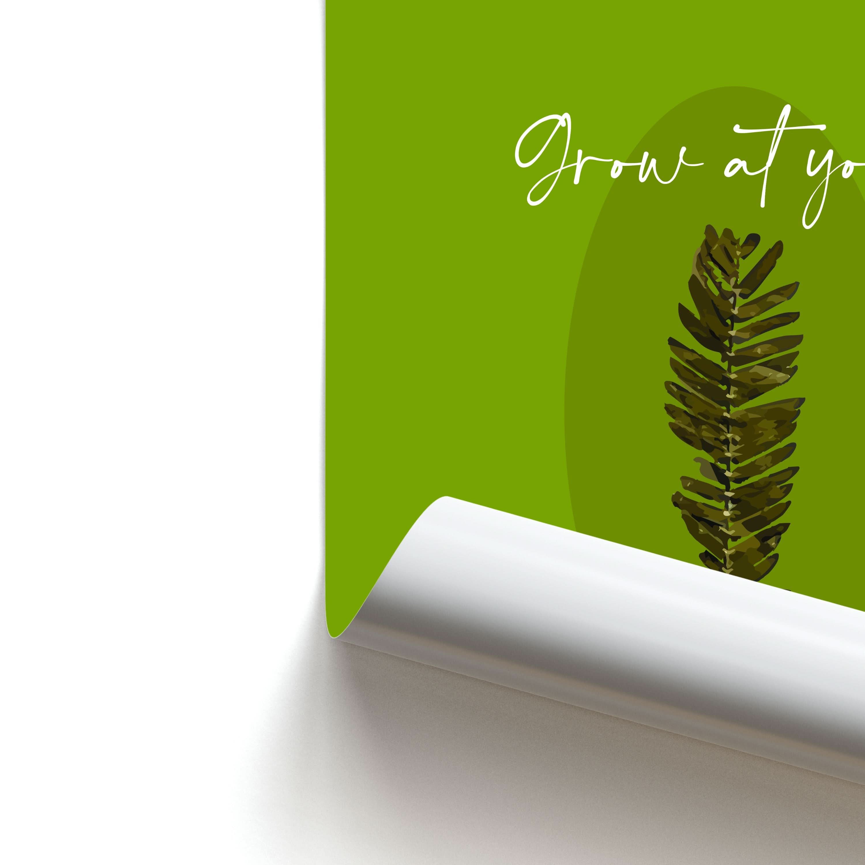 Grow At Your Own Pace Fern Poster