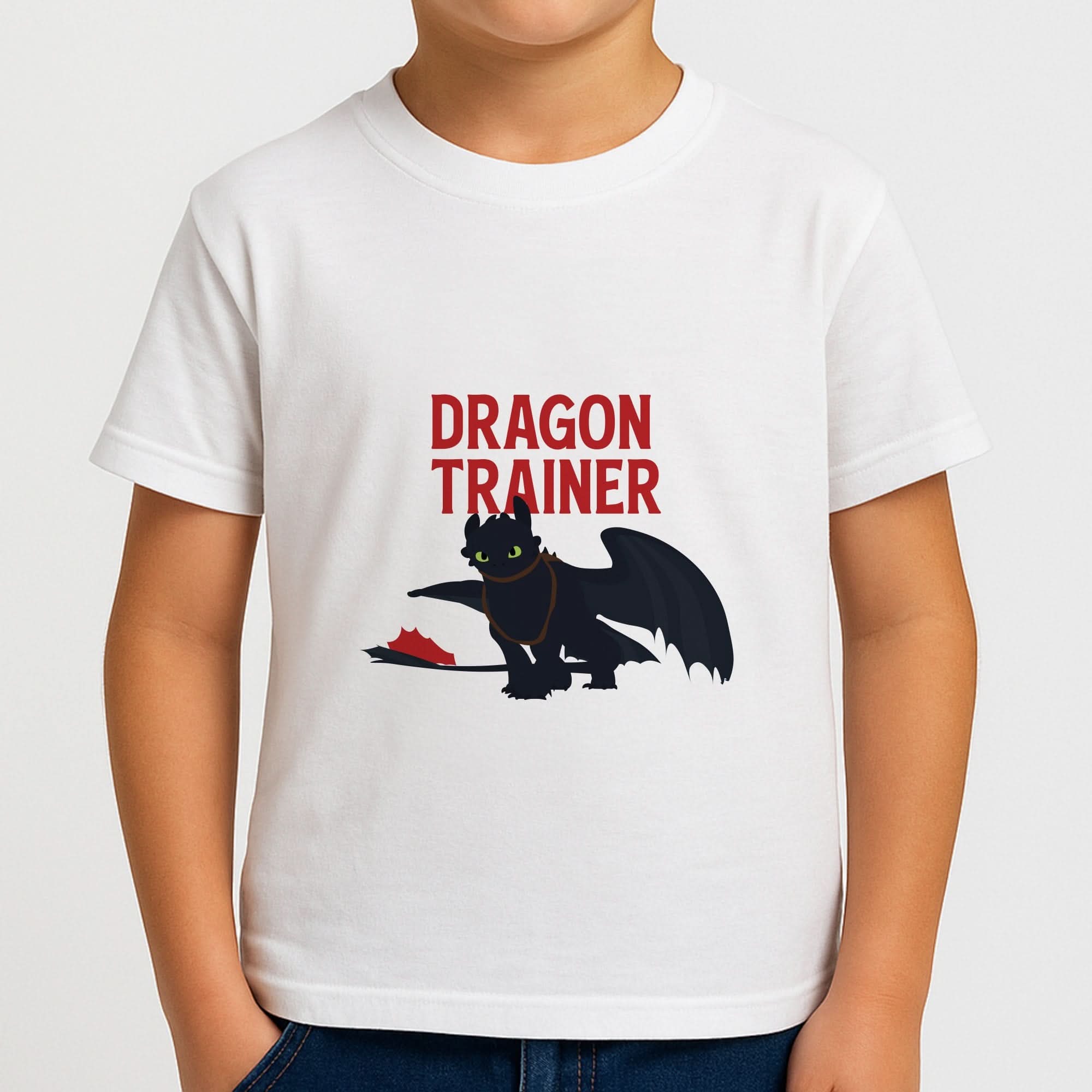 Dragon Trainer Boys T-Shirt
