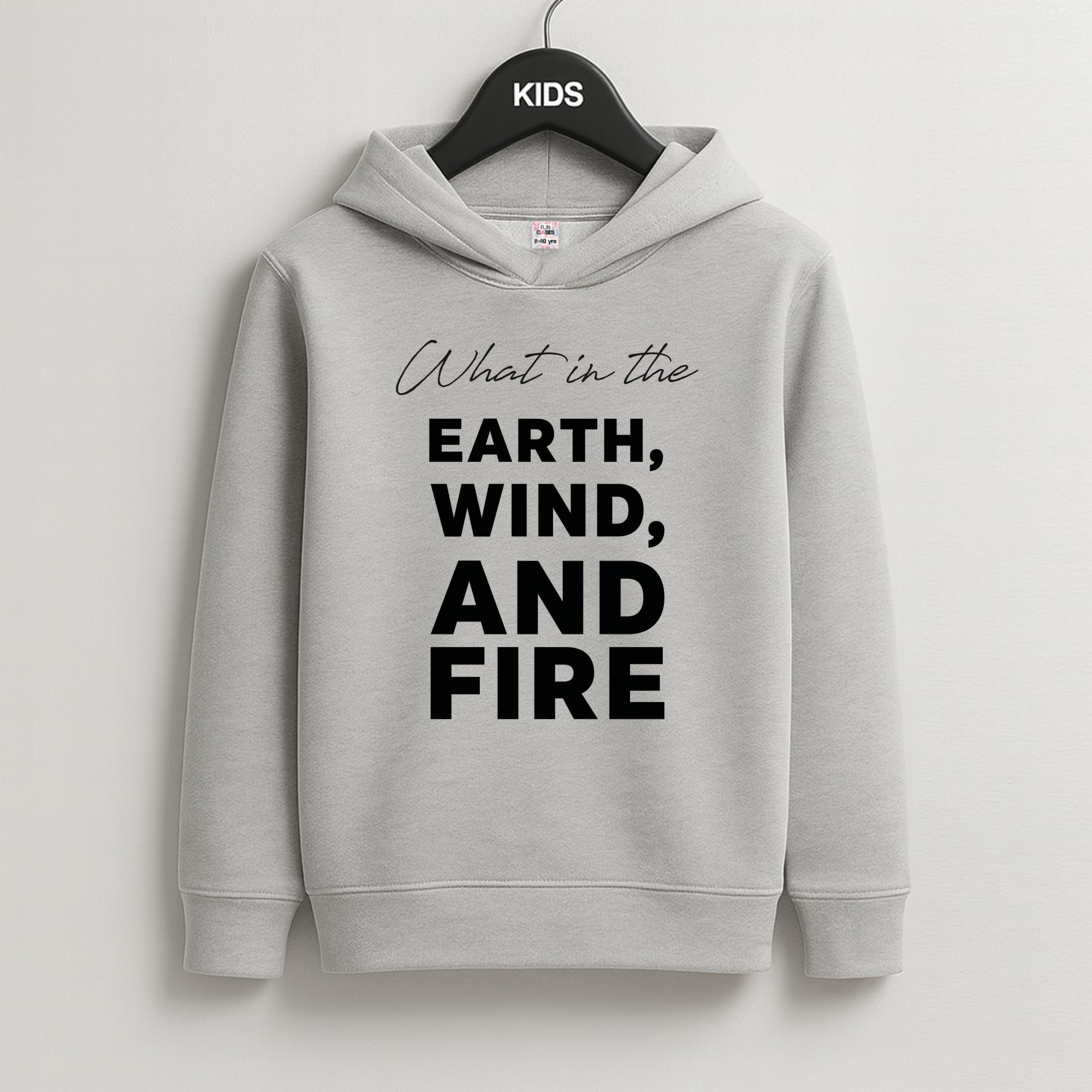 What In The Earth, Wind And Fire Kids Grey Hoodie