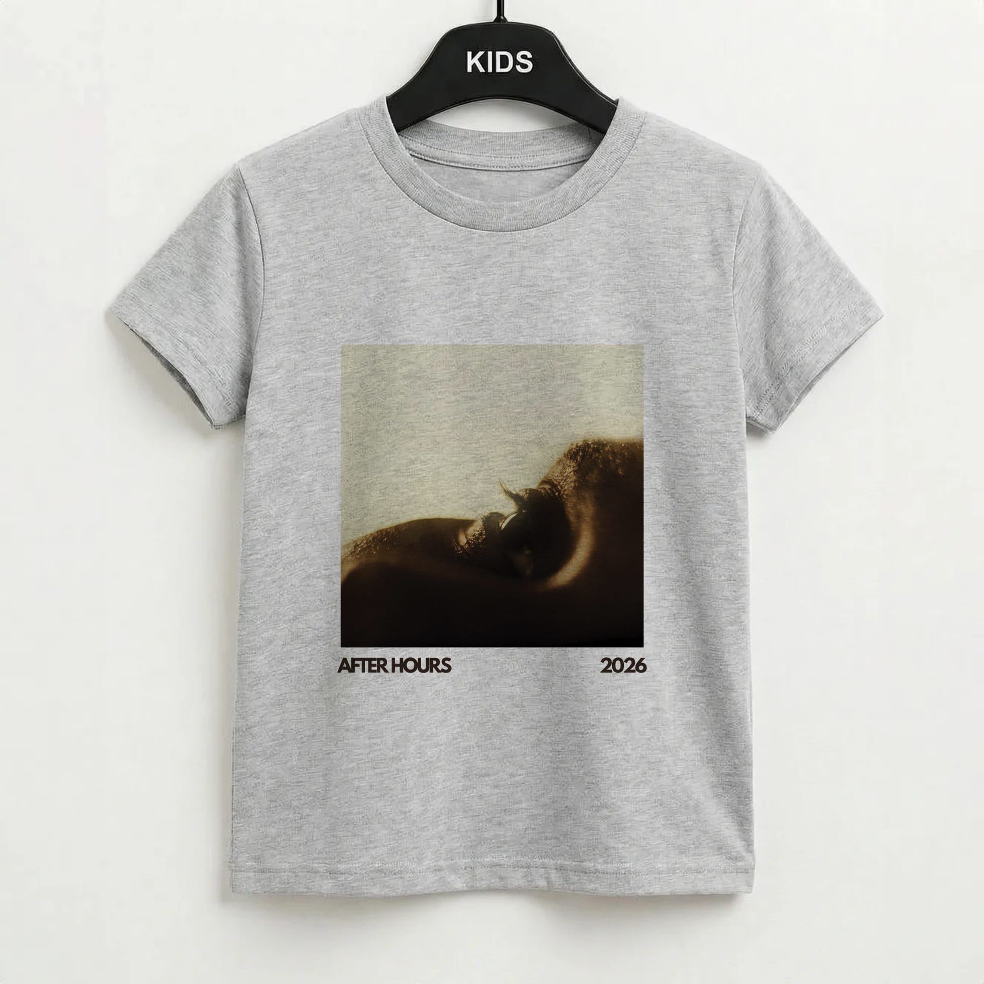 AH Album Kids T-Shirt