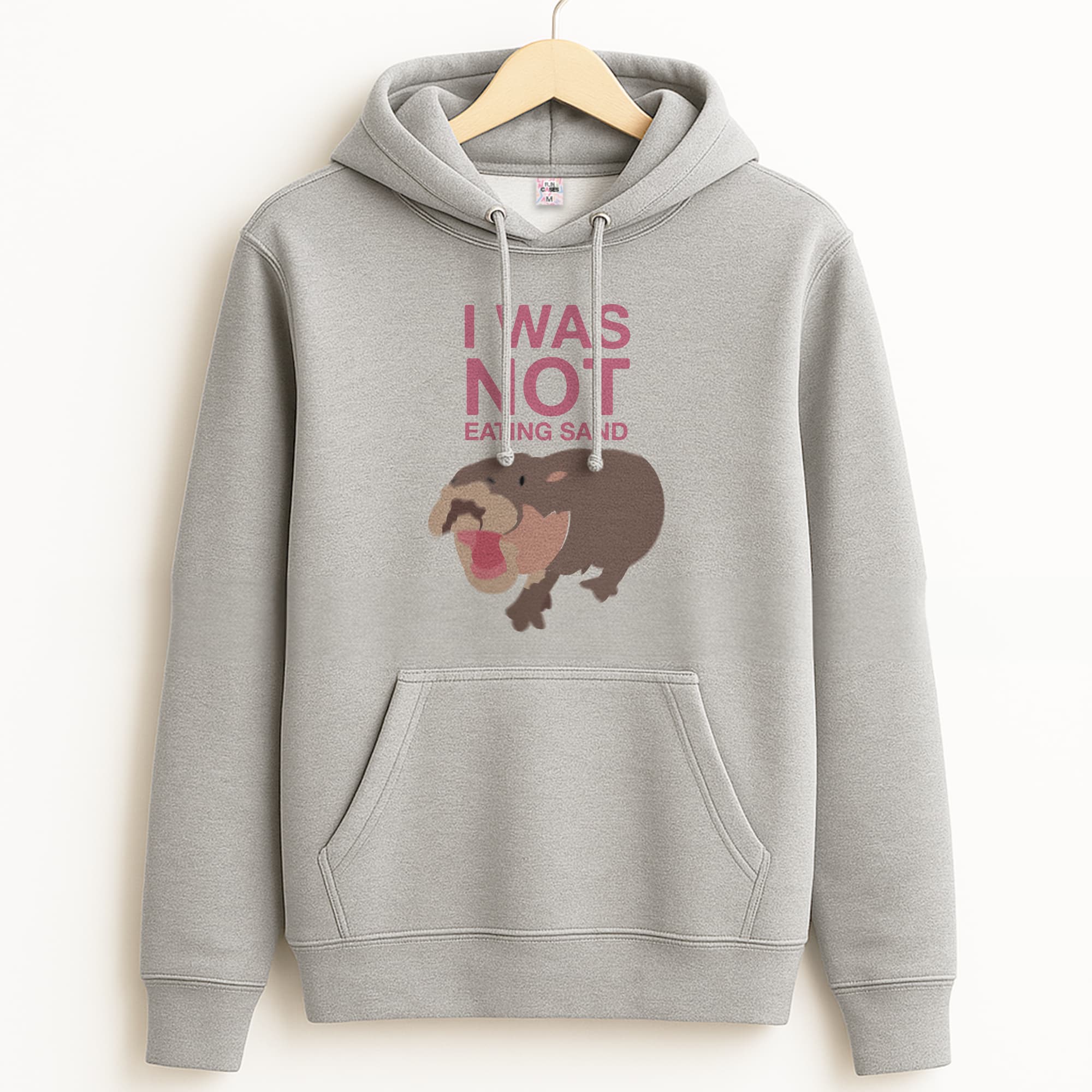 I Was Not Eating Sand Grey Hoodie