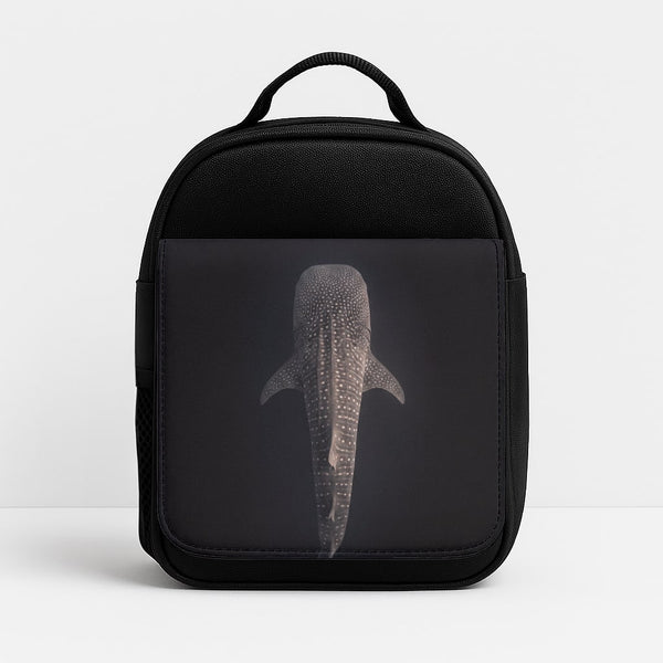 Insulated Lunch Bag