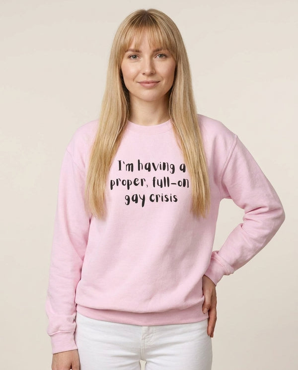 Gay Crisis - Heart TV Sweatshirt — Pink Front, worn