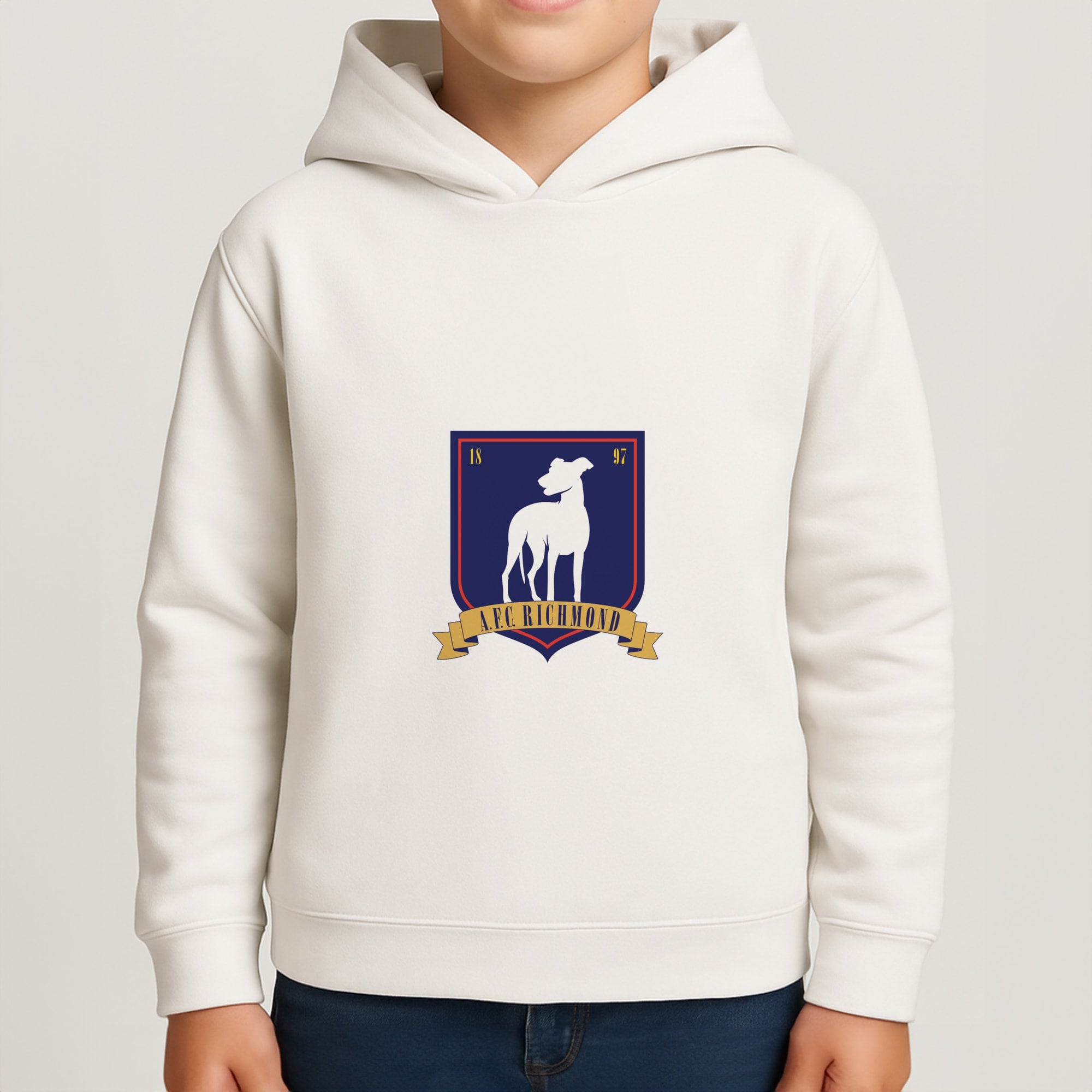 A.F.C Richmond Boys Hoodie