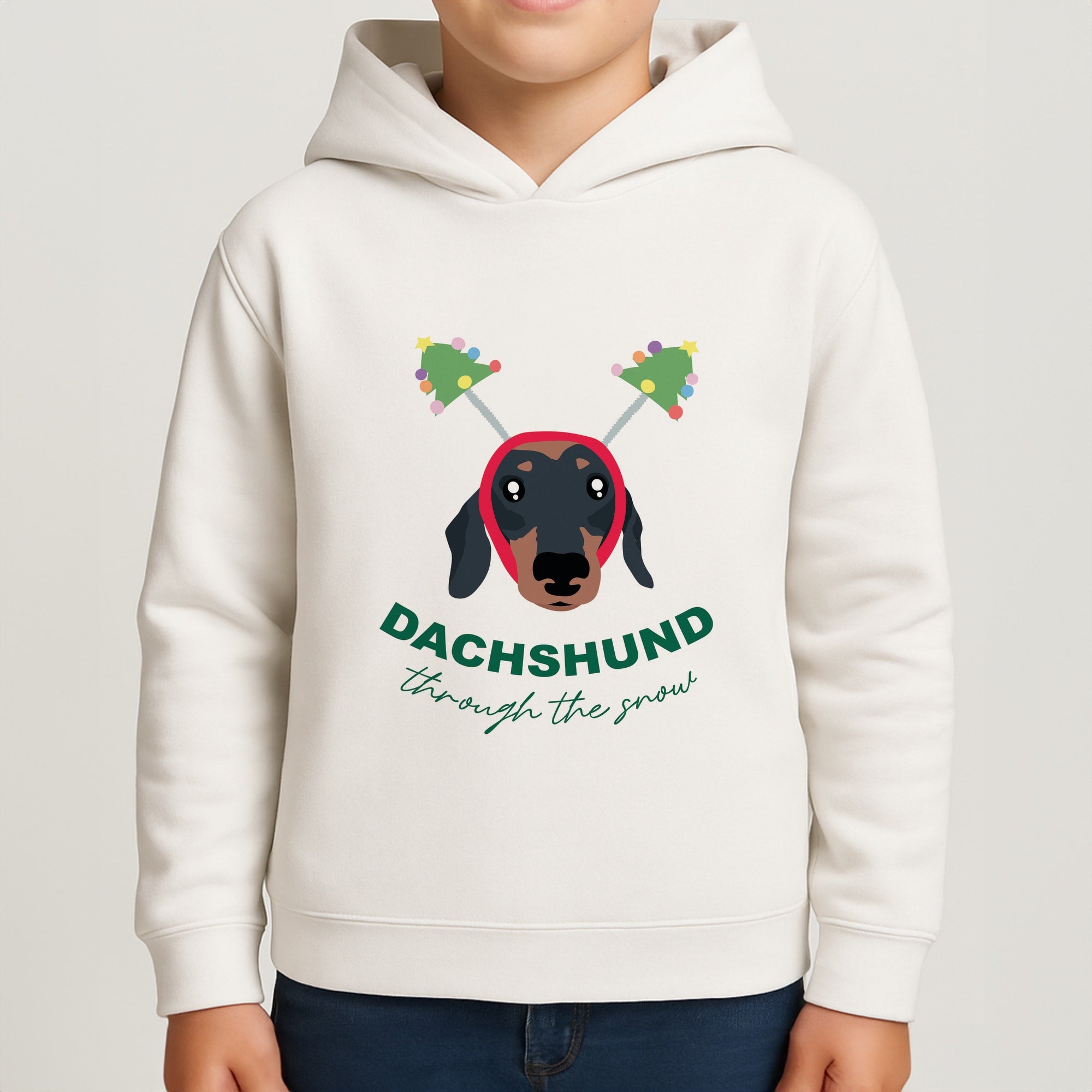 Dachshund Through The Snow Boys Hoodie