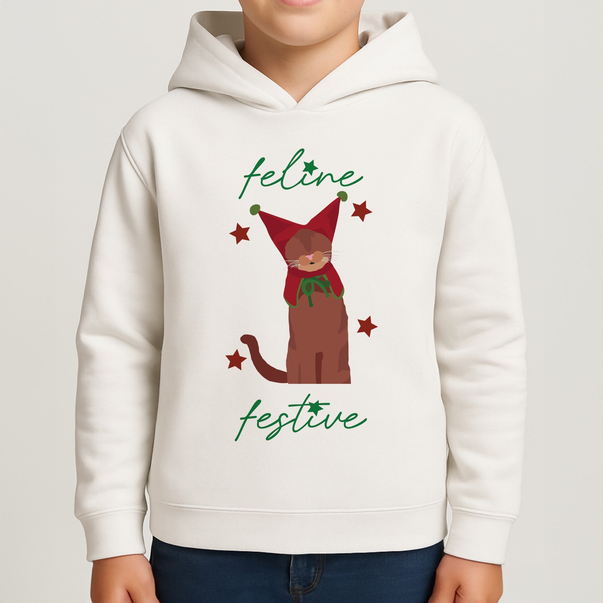 Feline Festive Boys Hoodie