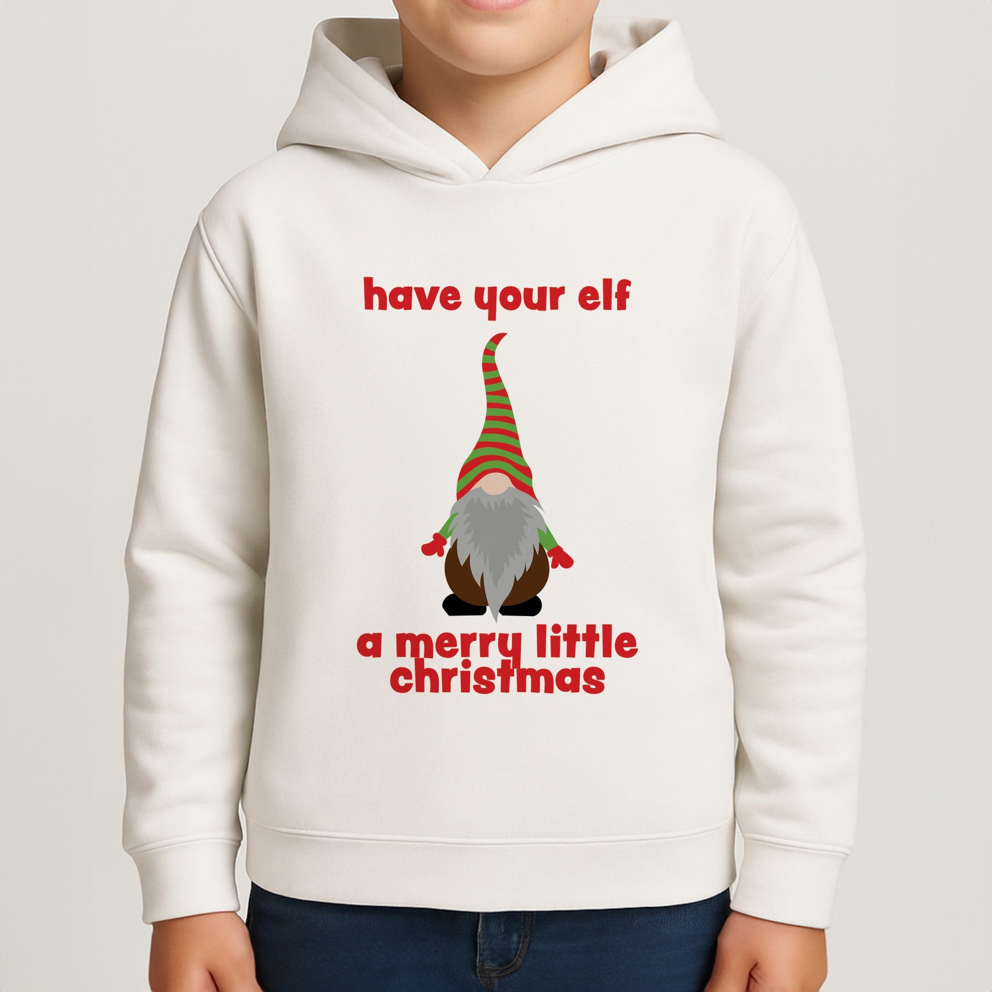 Have Your Elf A Merry Little Christmas Boys Hoodie
