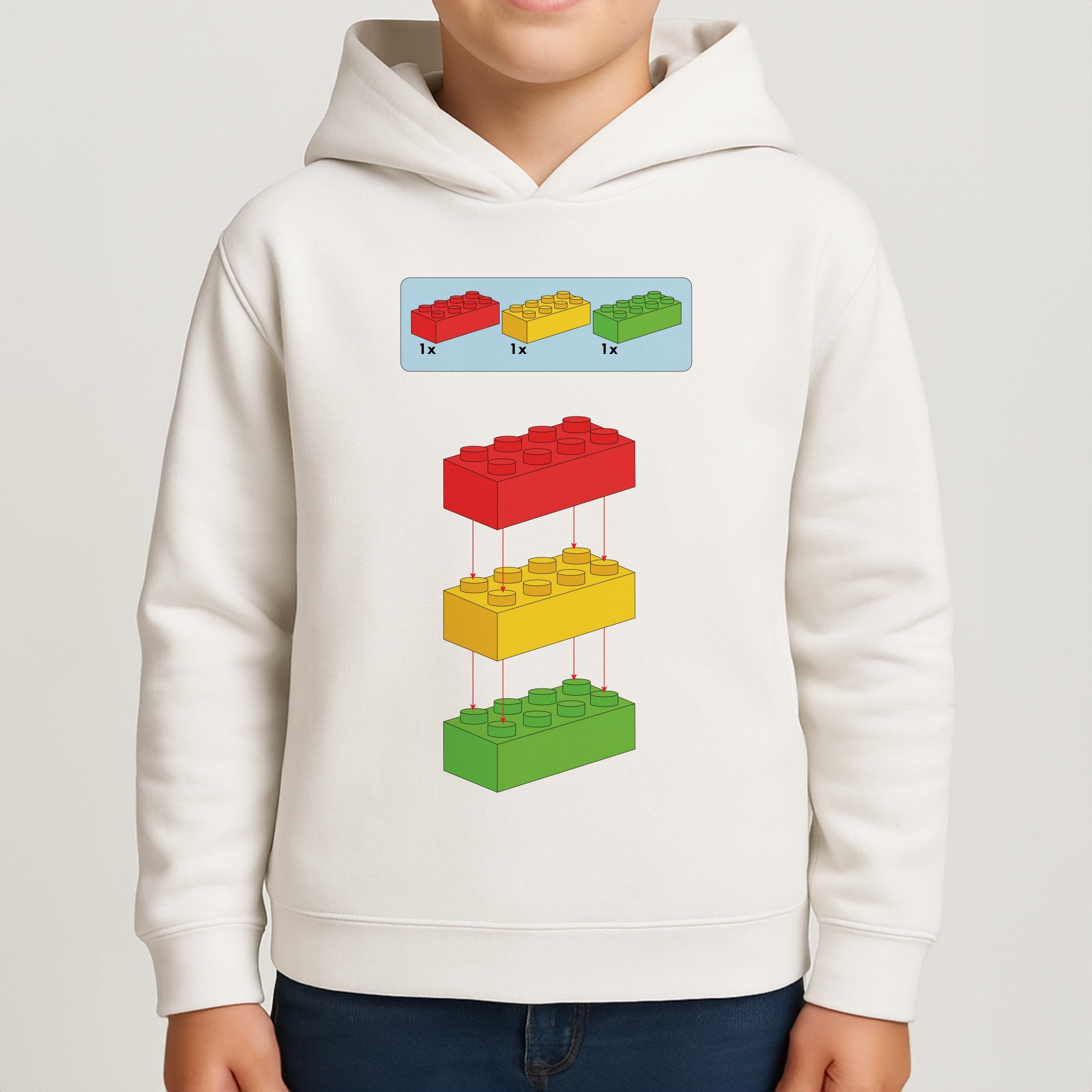 Bricks Instruction Set Boys Hoodie