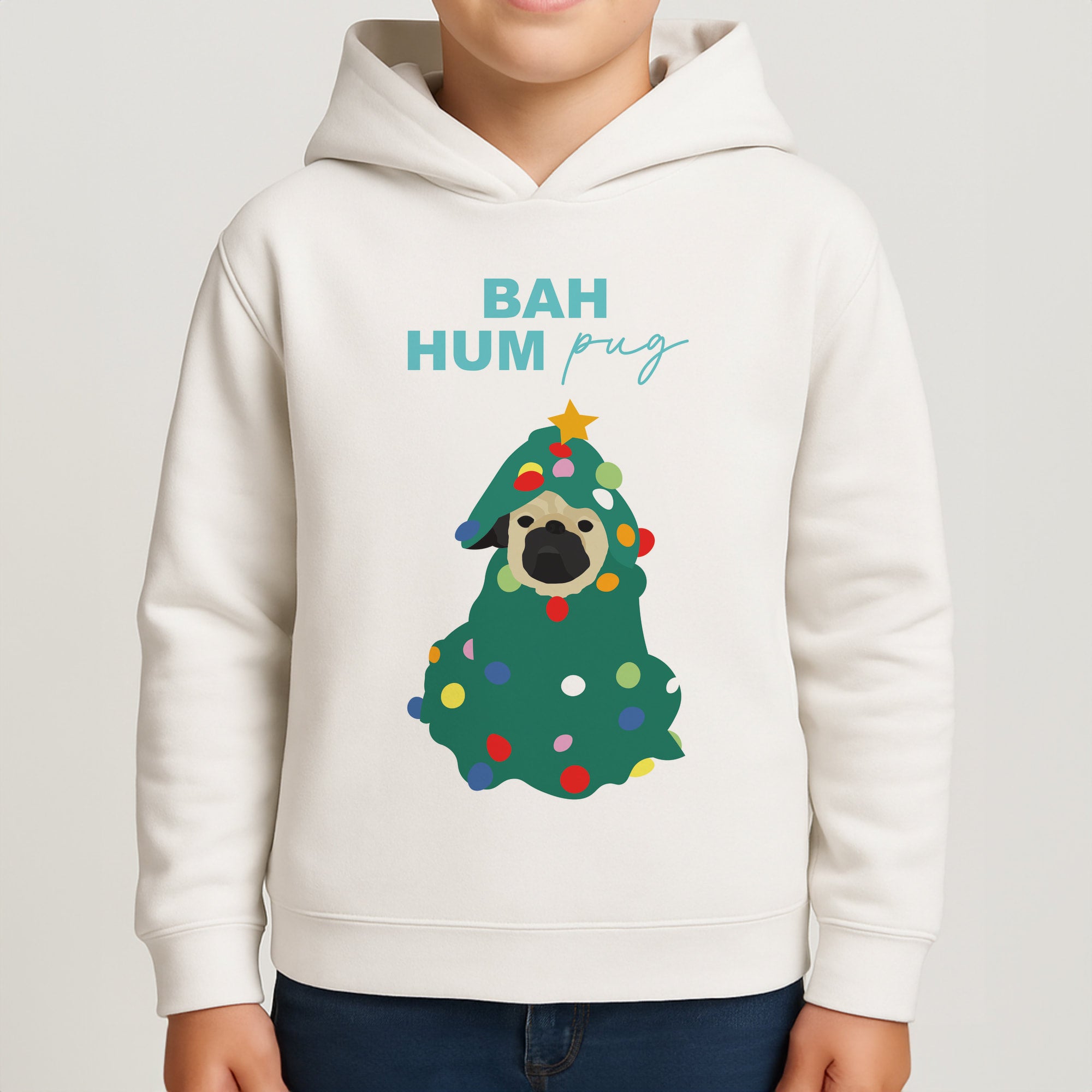 Bah Hum Pug Boys Hoodie