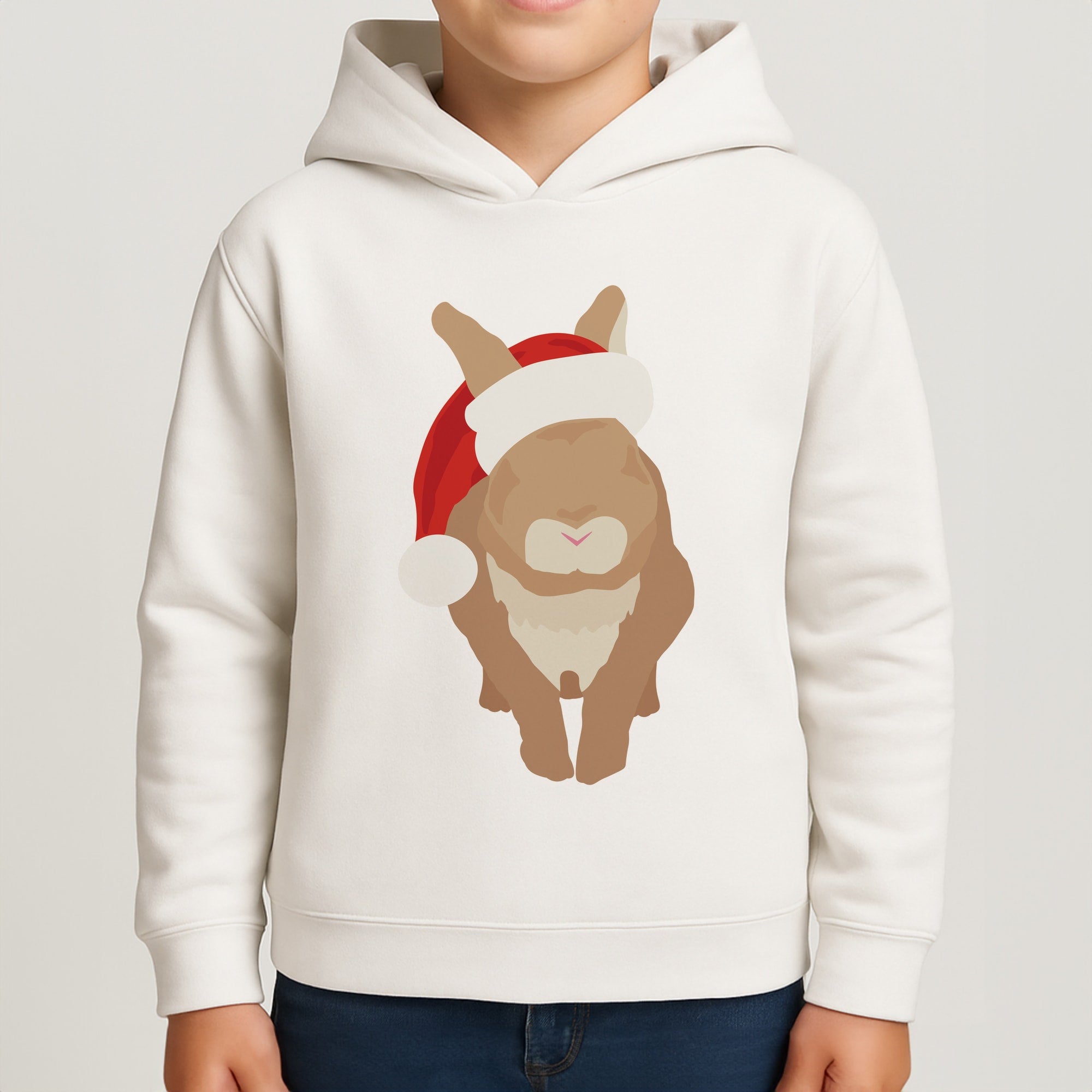 Rabbit Christmas Ears Boys Hoodie