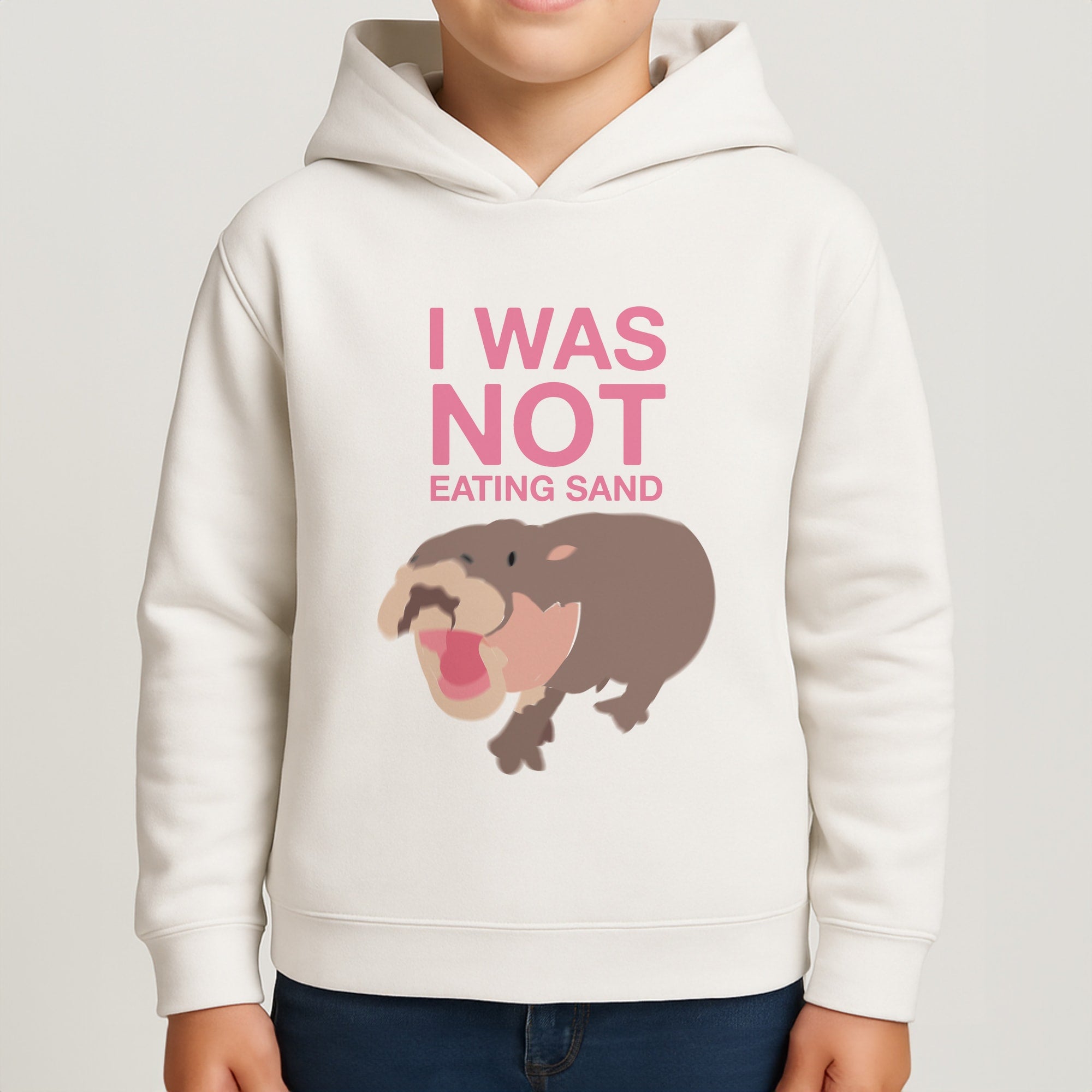 I Was Not Eating Sand Boys Hoodie