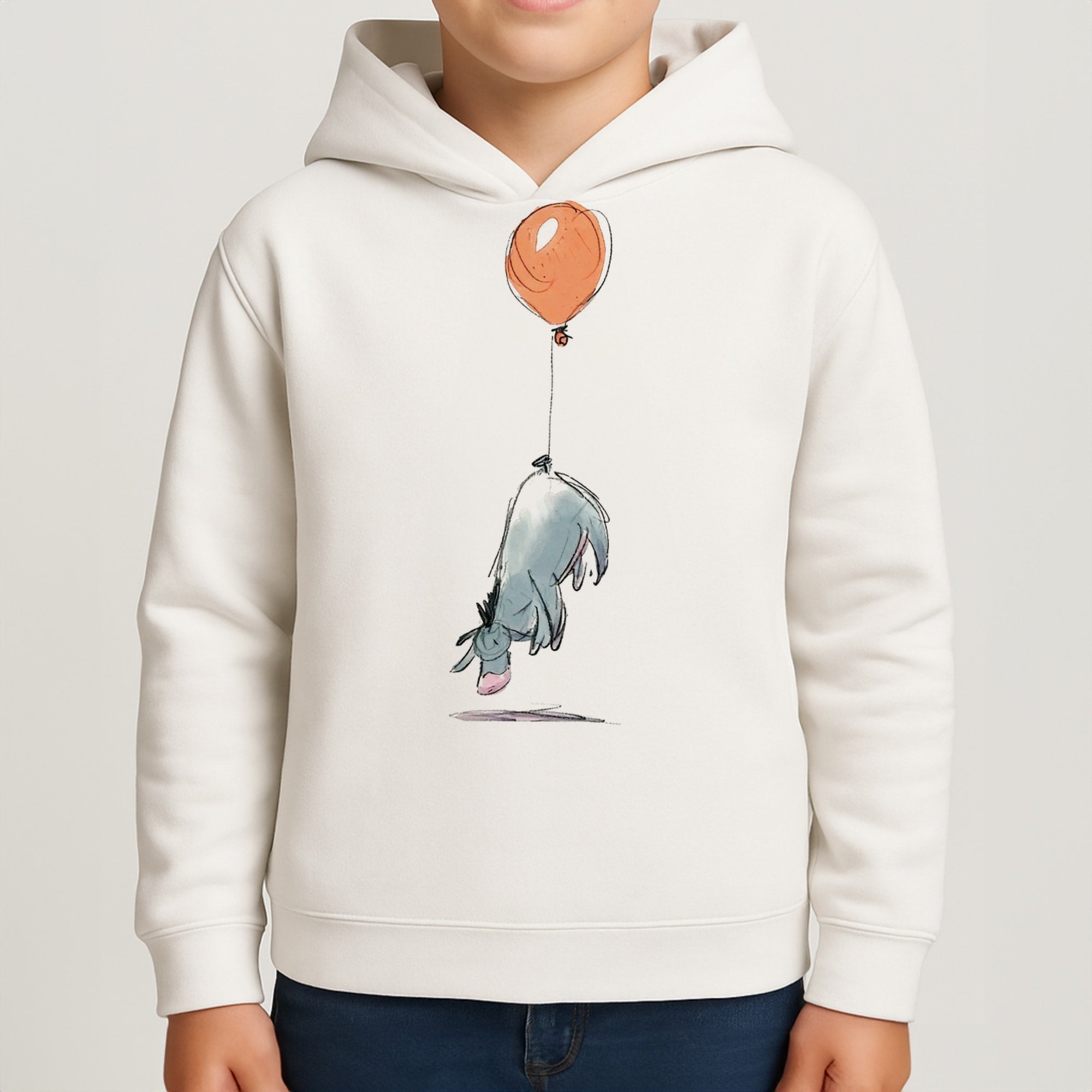 Donkey And His Balloon Kids Hoodie