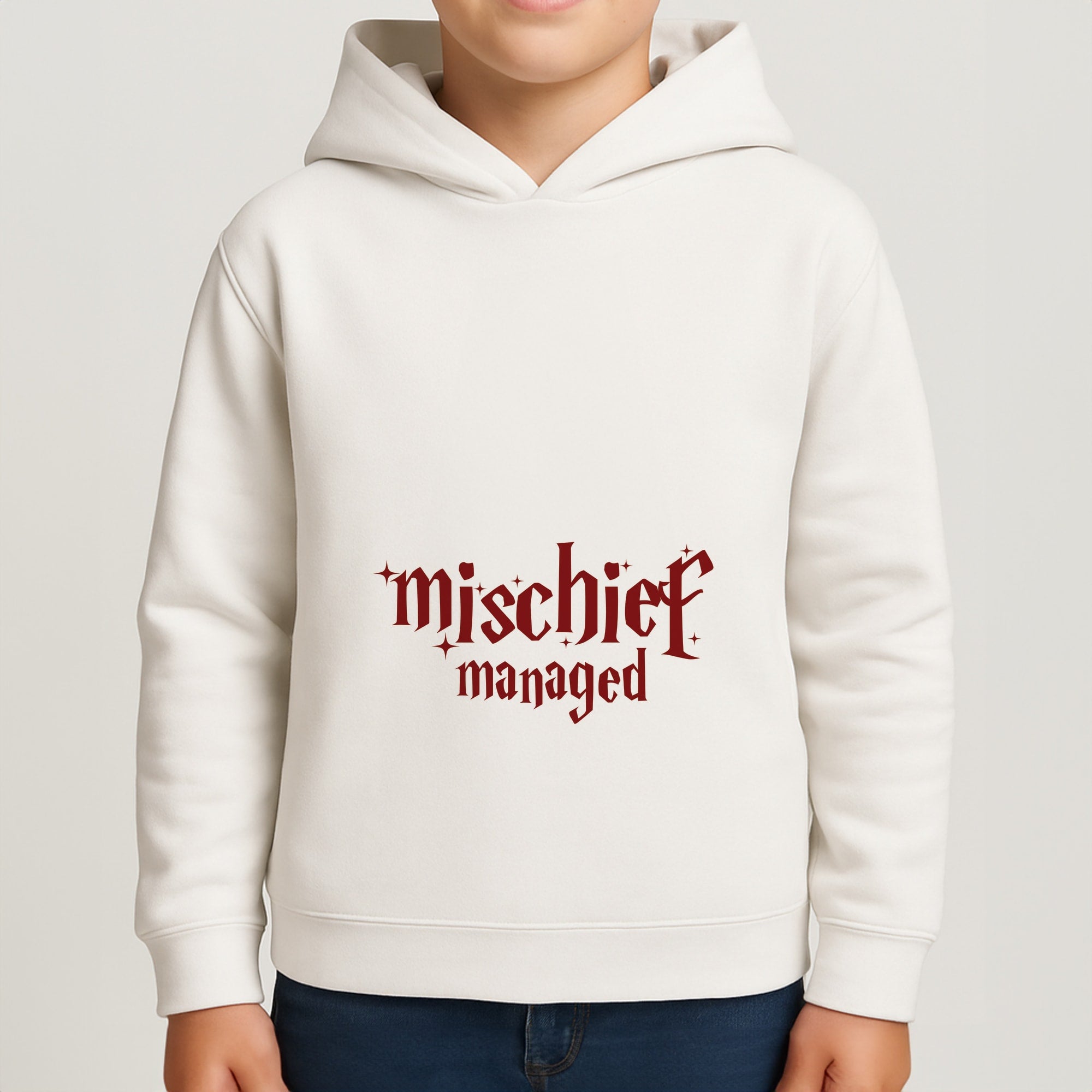 Mischief Boys Hoodie