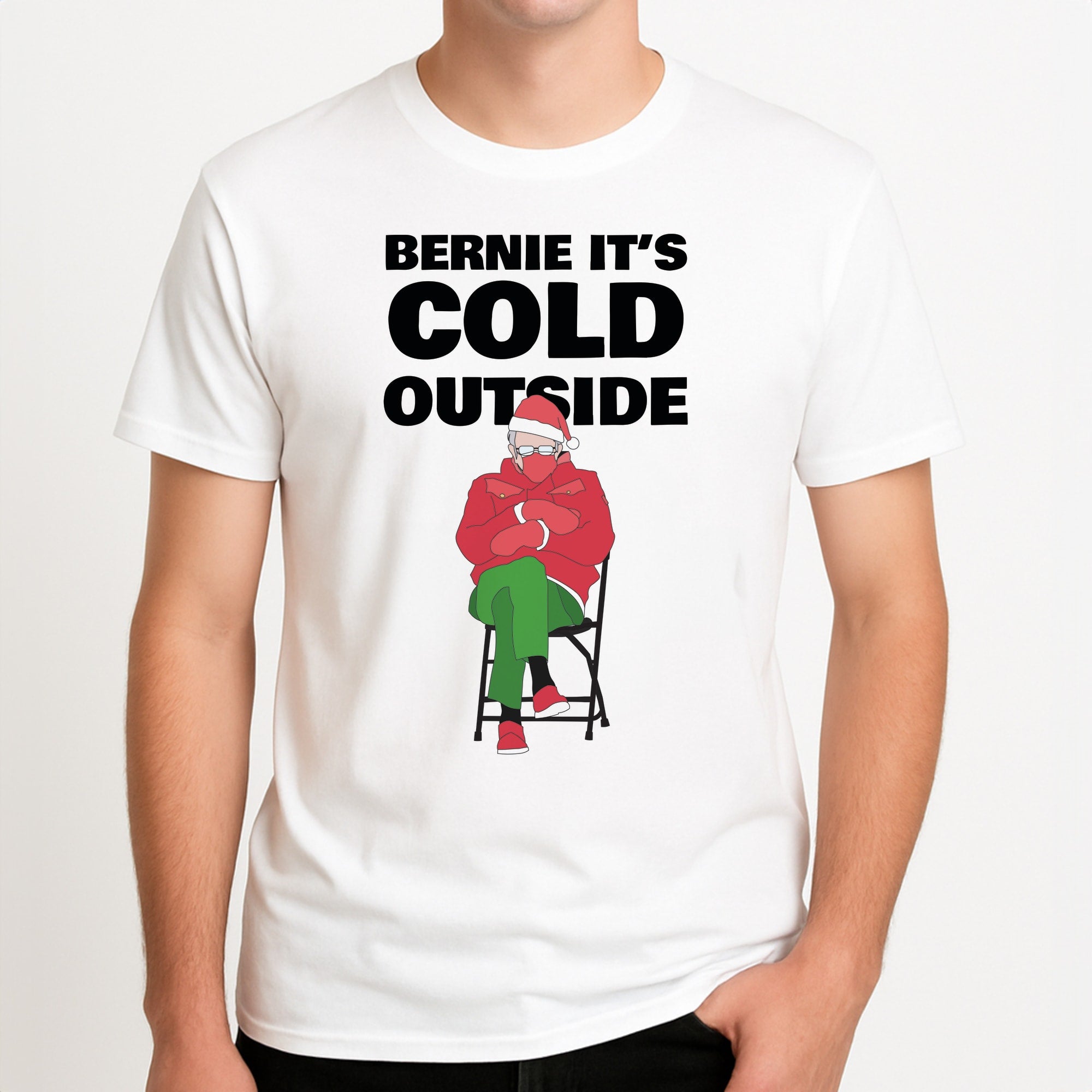 Bernie It's Cold Outside Unisex T-Shirt, worn by a male model.