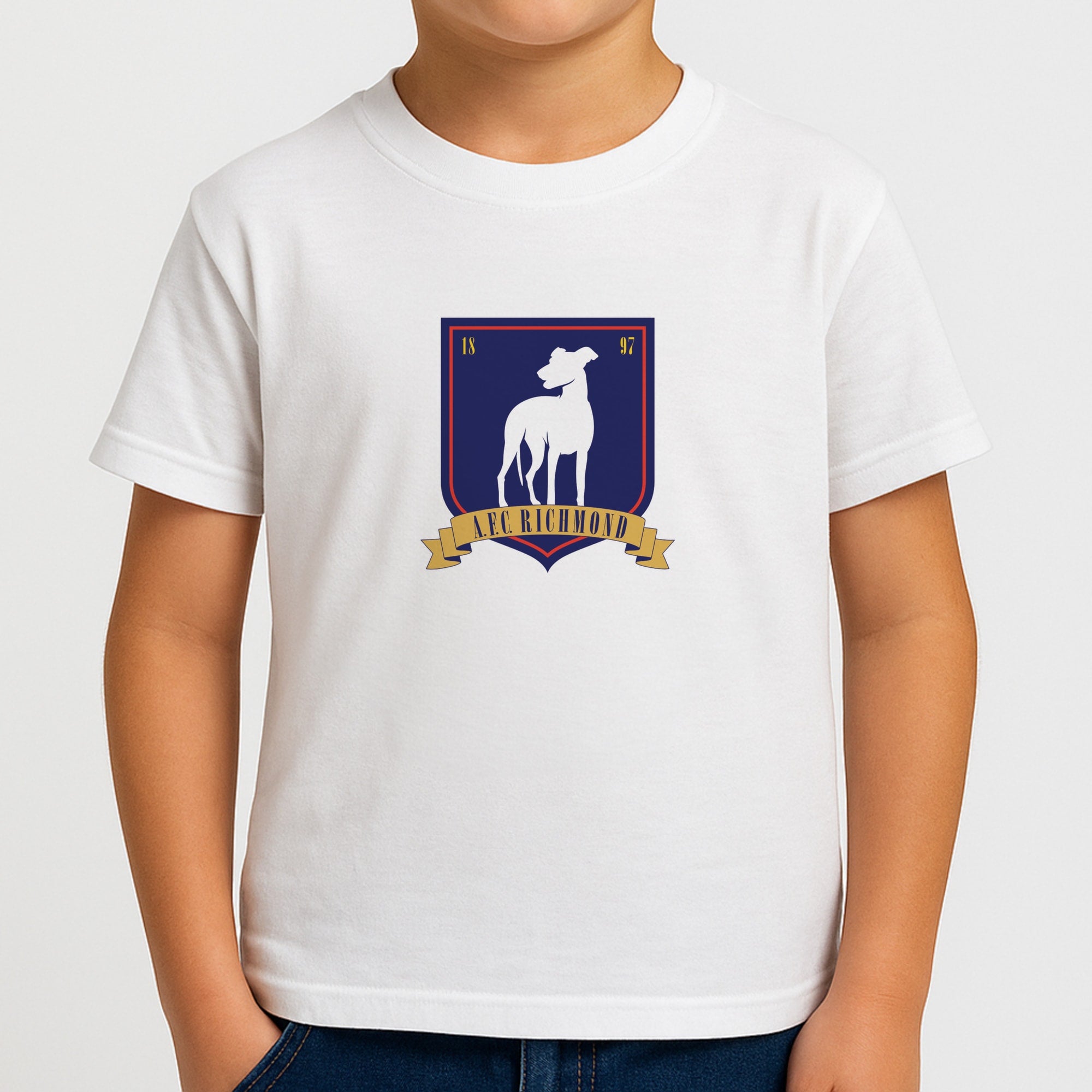 A.F.C Richmond Boys T-Shirt