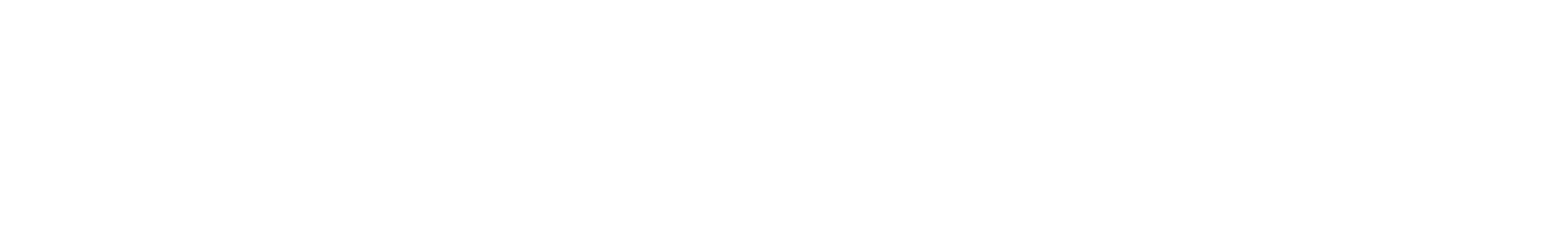 Fun Cases Logo White