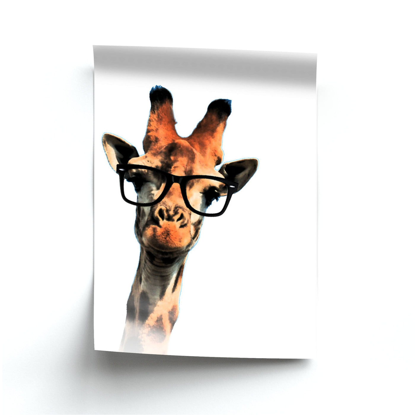 Hipster Giraffe Tumblr Poster