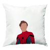 Spider Man Cushions