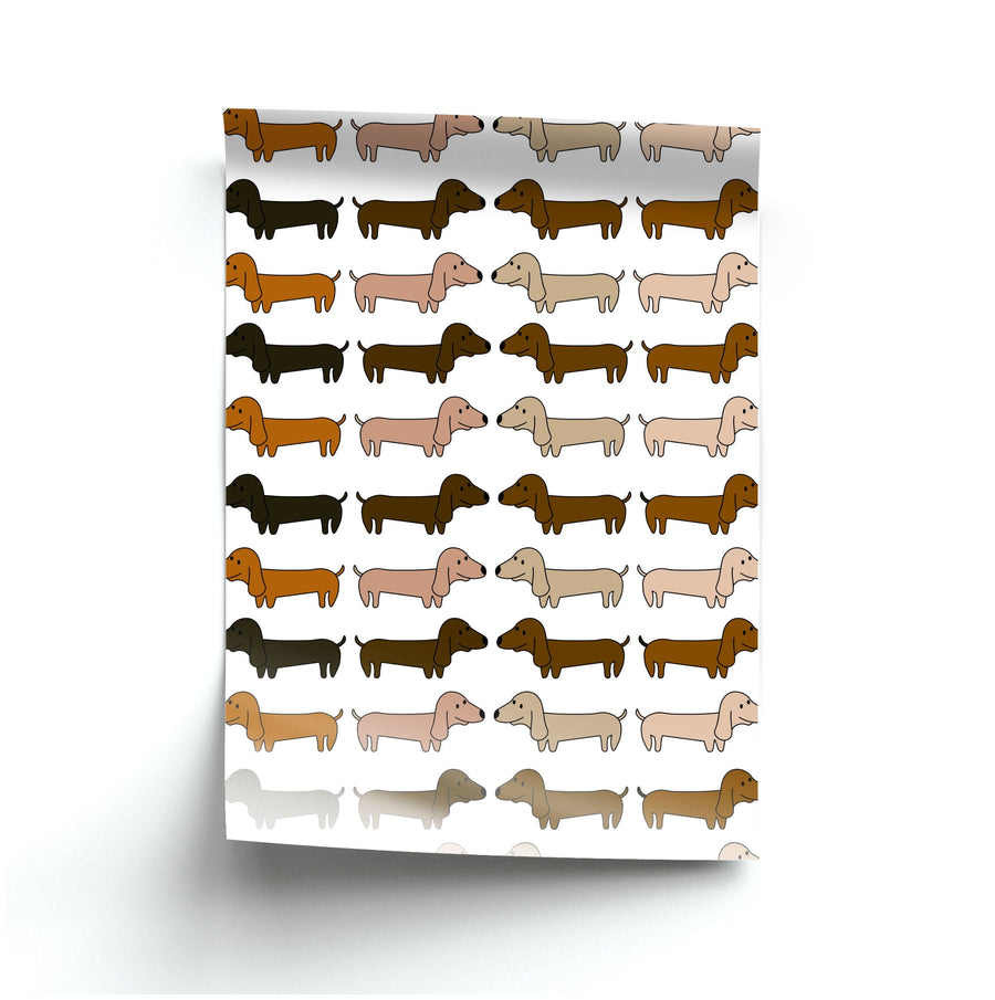 Collage - Dachshunds Poster