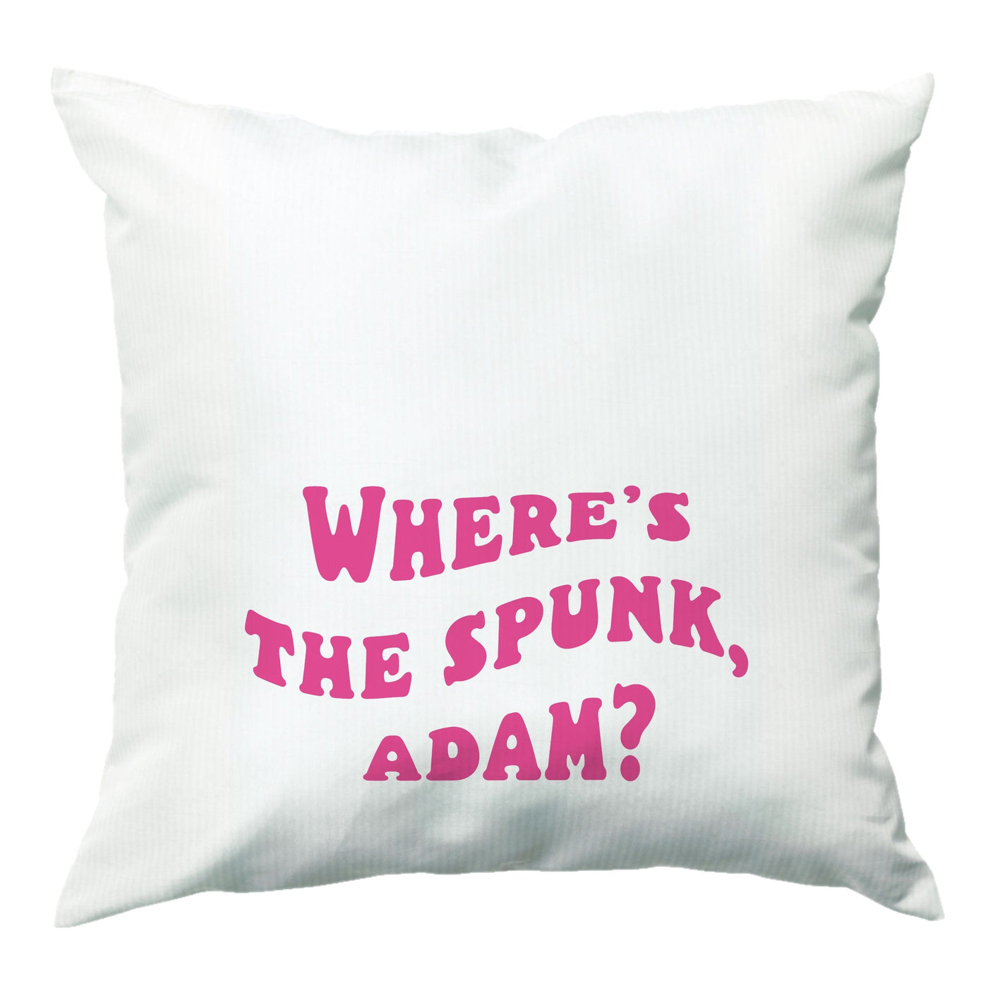 Wheres The Stuff Adam? - Sex Education Cushion