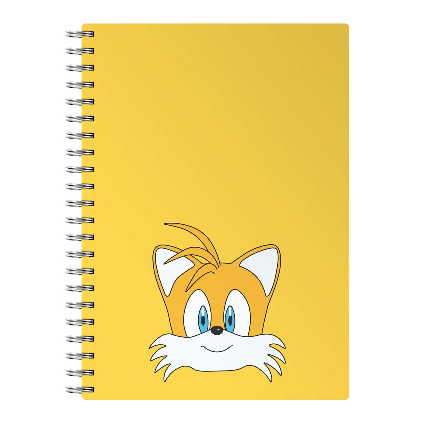 Ray - Sonic Notebook
