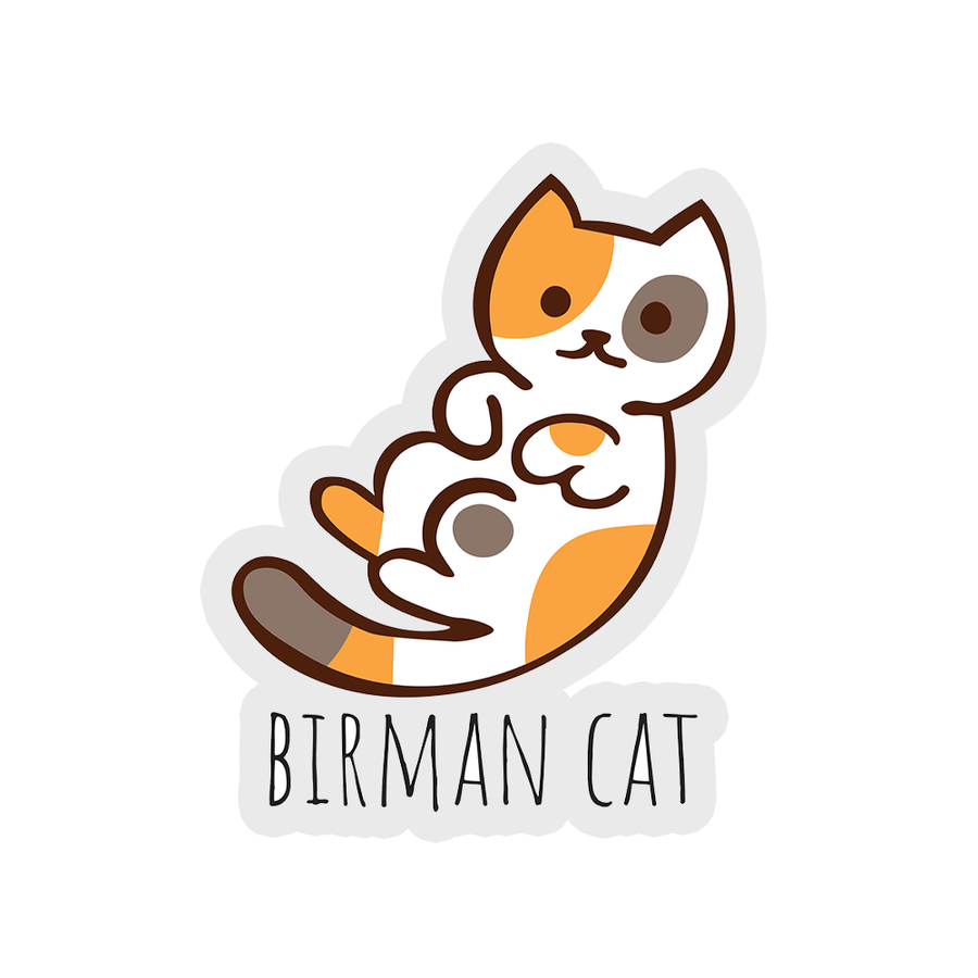 Birman Cat - Cats Sticker