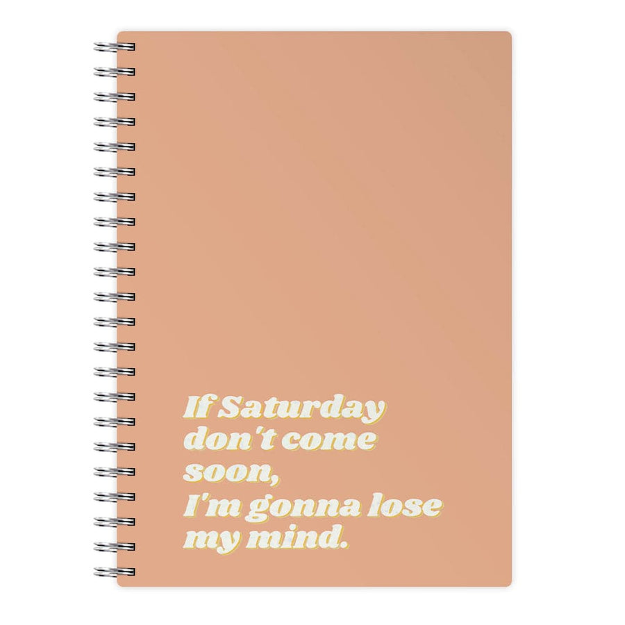 If Saturday Don't Come Soon - Sam Fender Notebook