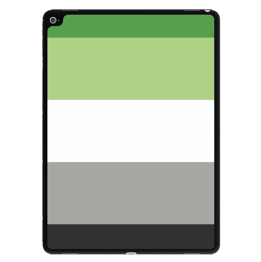 Aromantic Flag - Pride iPad Case