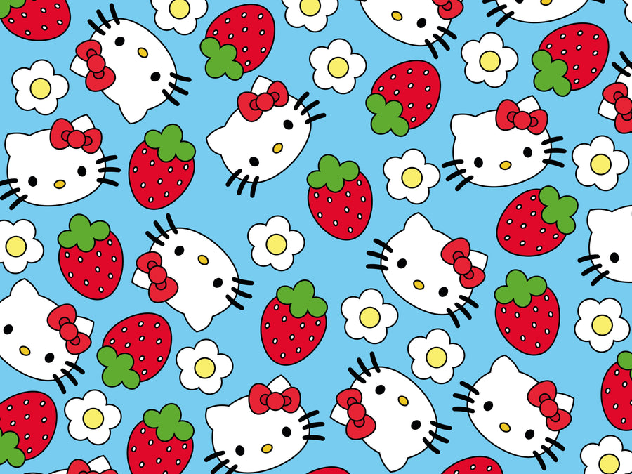 Whisker Wonderland: Your Guide to Our Hello Kitty Merchandise