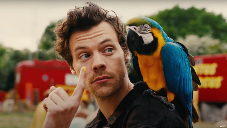 The Best Harry Styles Music Videos: Ranked