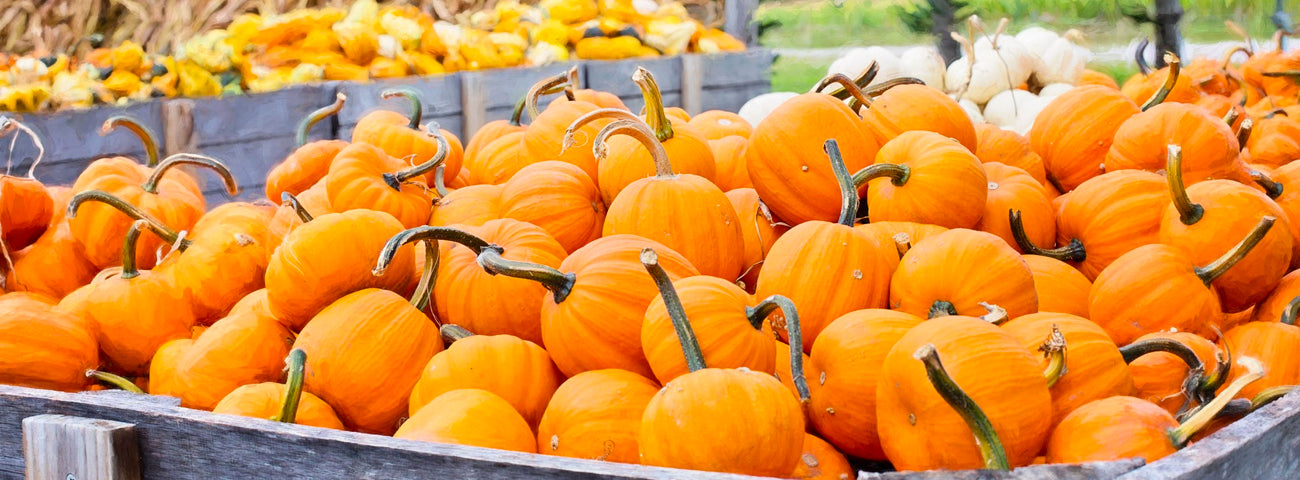 How To Get The Perfect Pumpkin