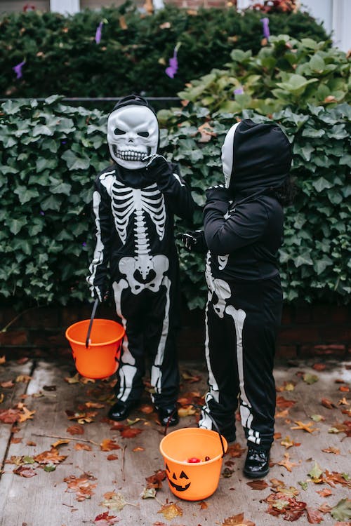 Top 5 halloween costumes this year