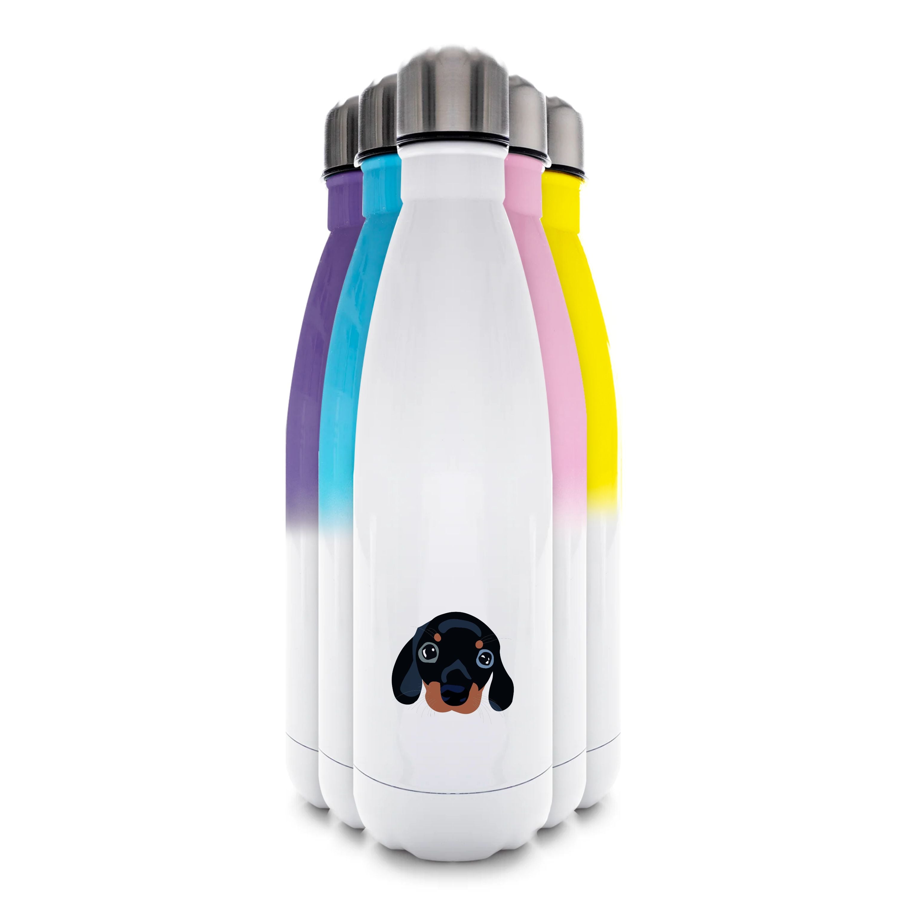 Black - Dachshunds Water Bottle