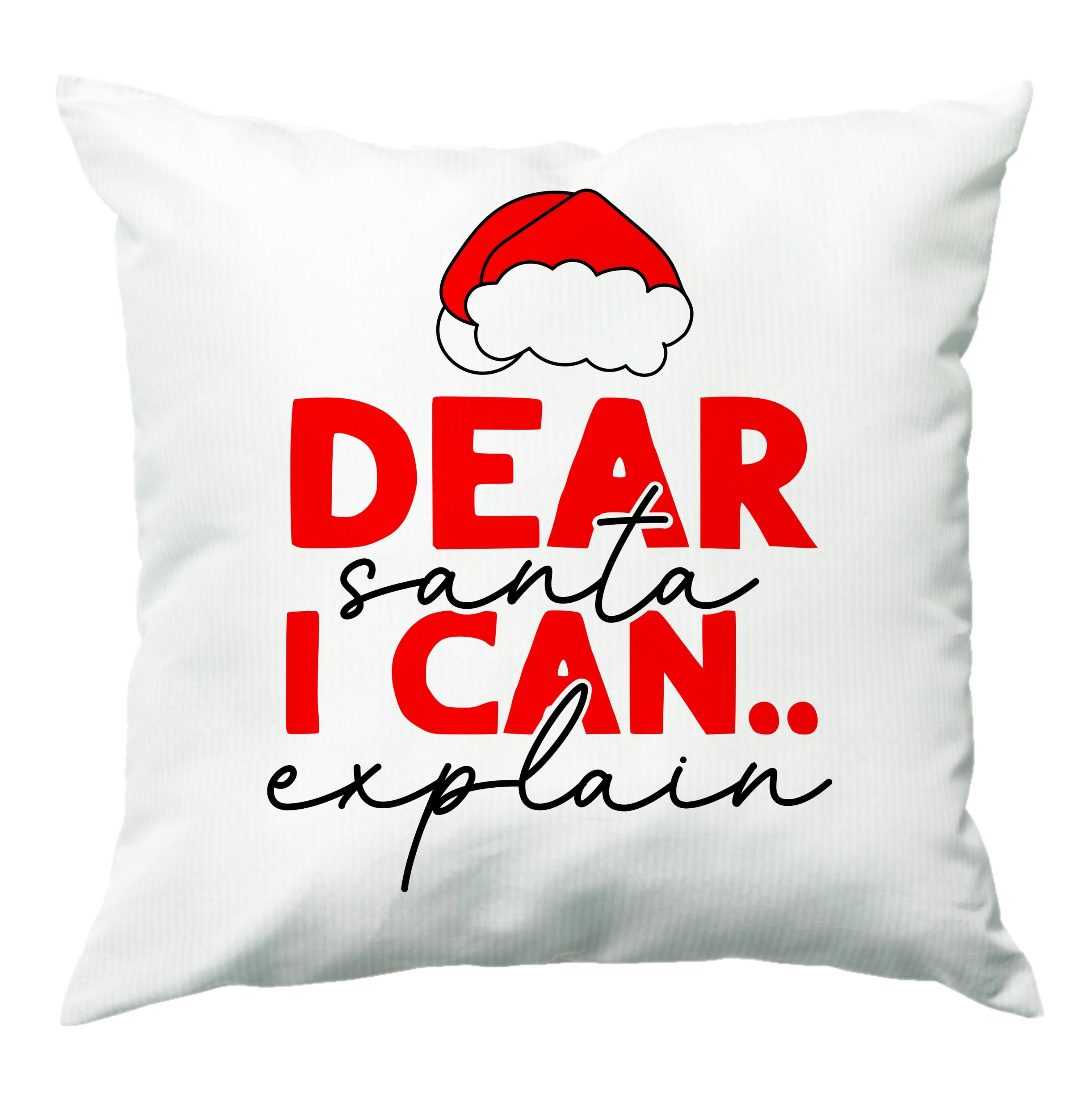 I Can Explain Santa Cushion