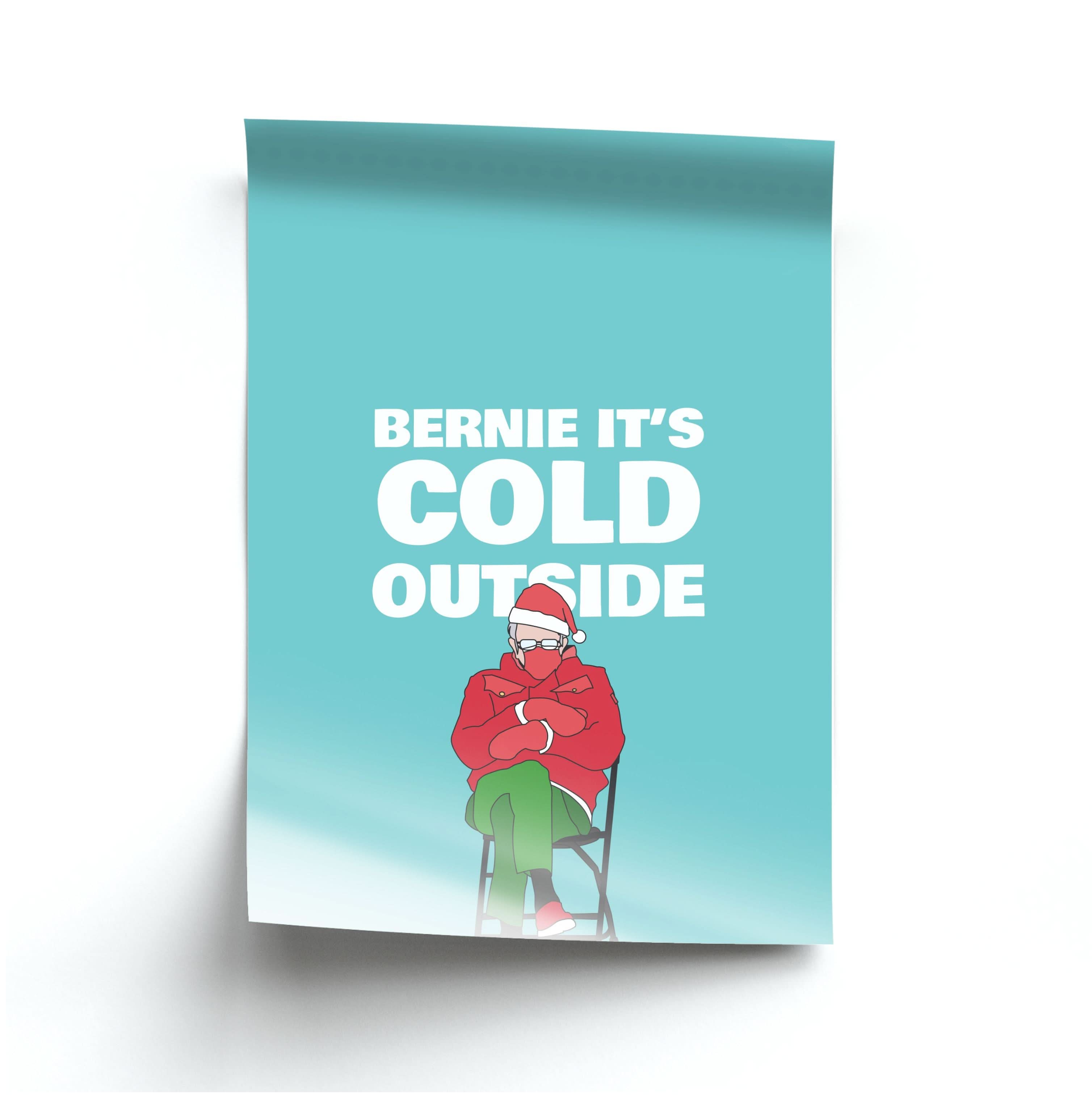 Bernie It's Cold Outside Poster