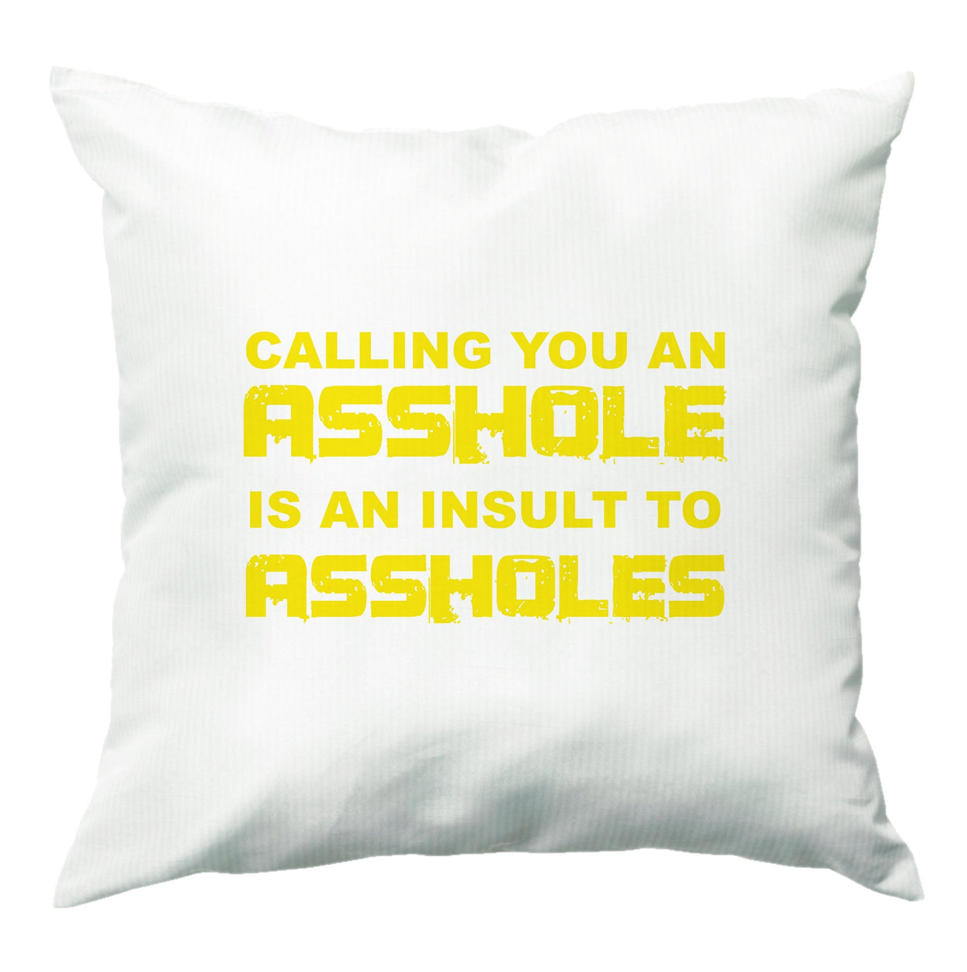 Calling You An A**hole Cushion